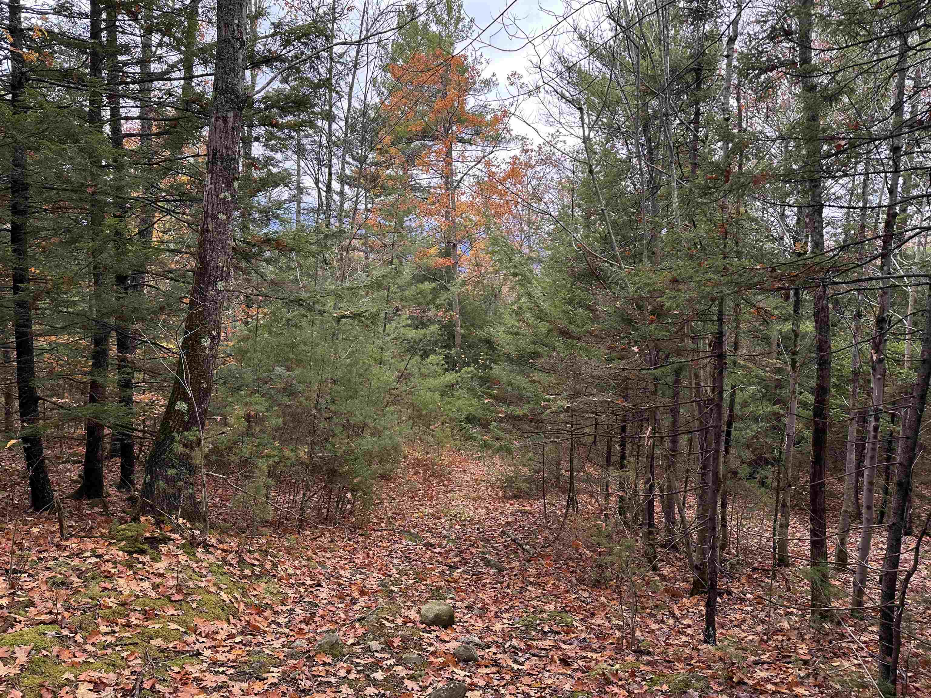 MLS #5070977 image #24