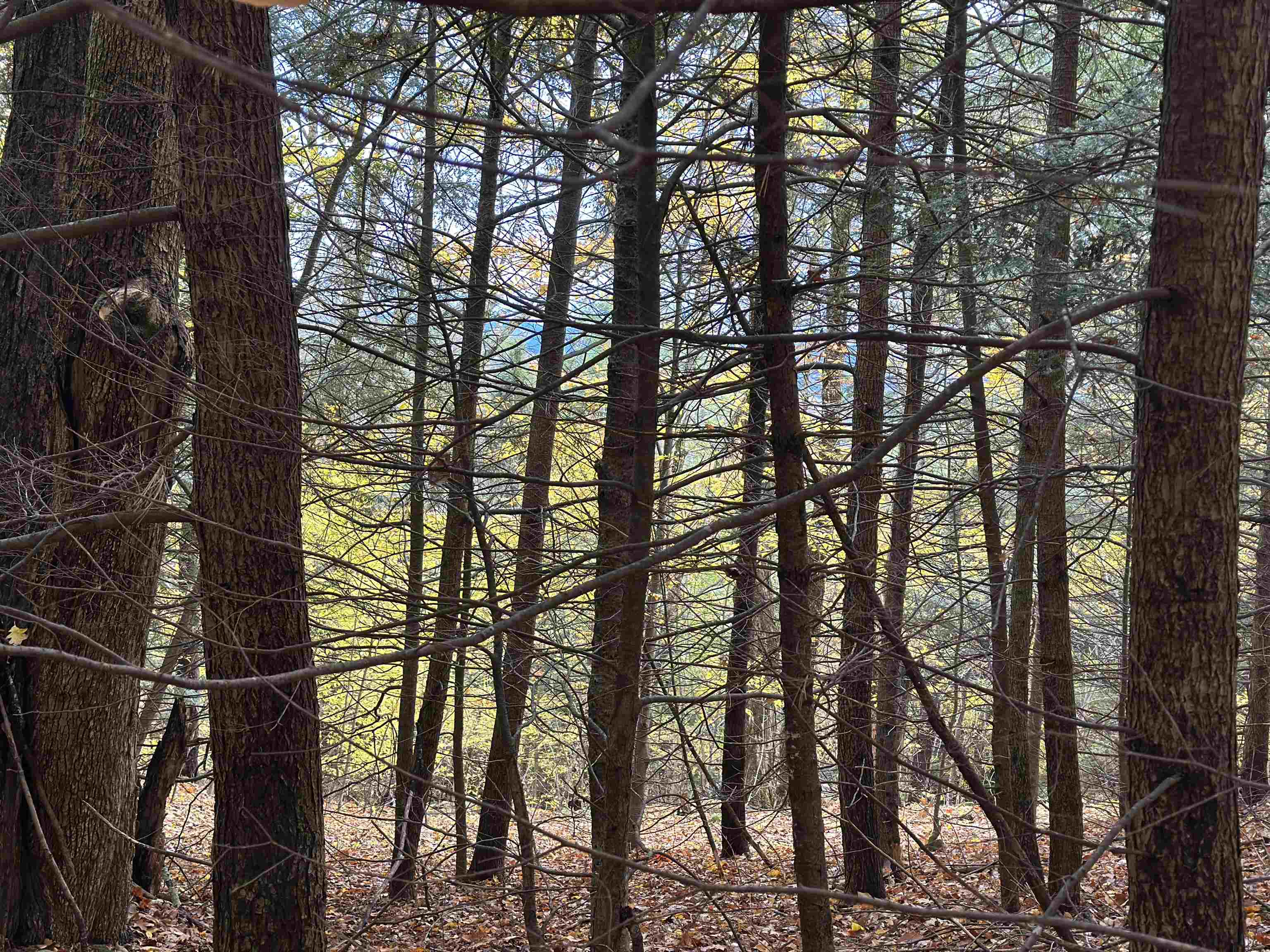 MLS #5070977 image #25