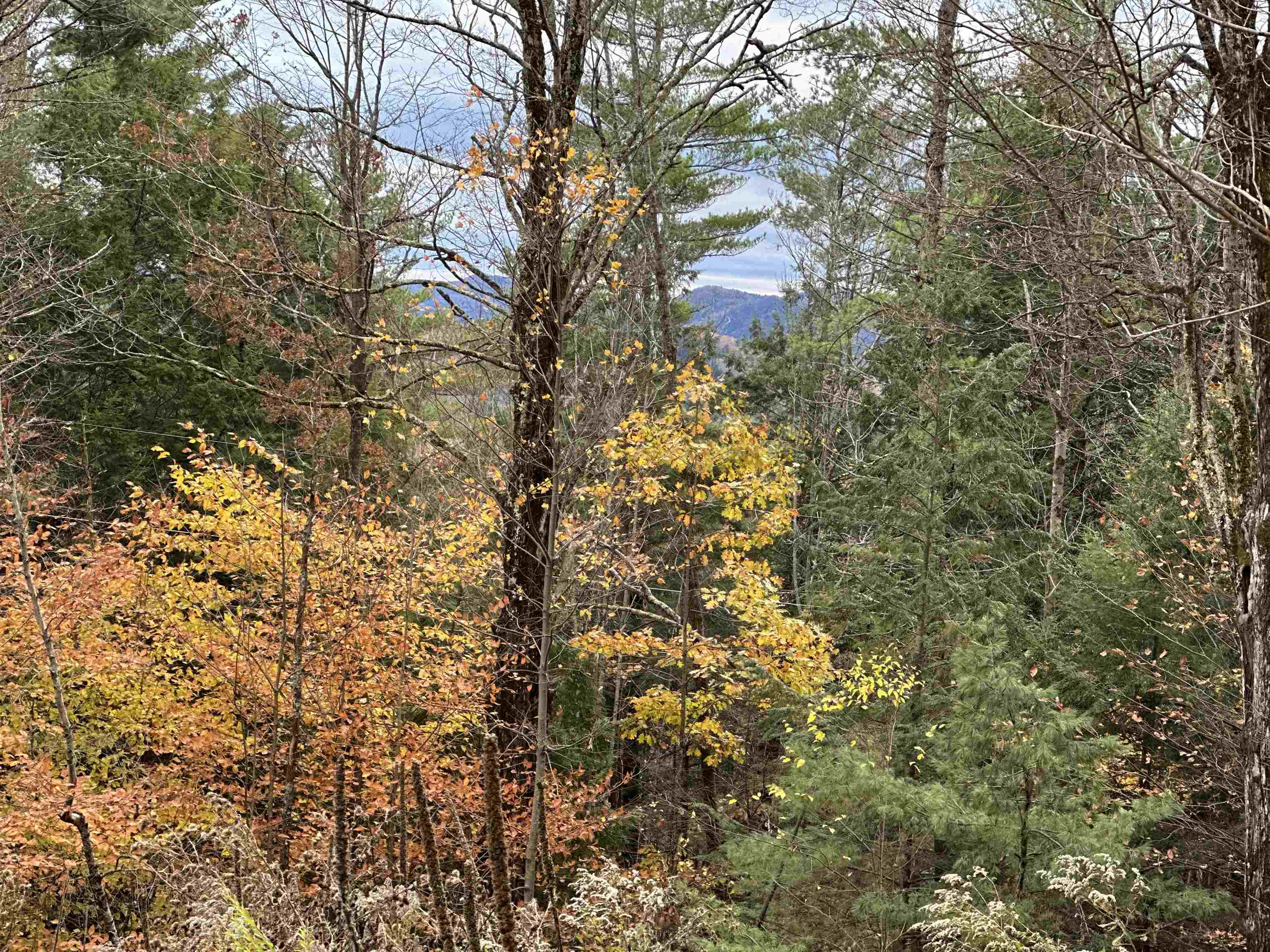 MLS #5070977 image #26