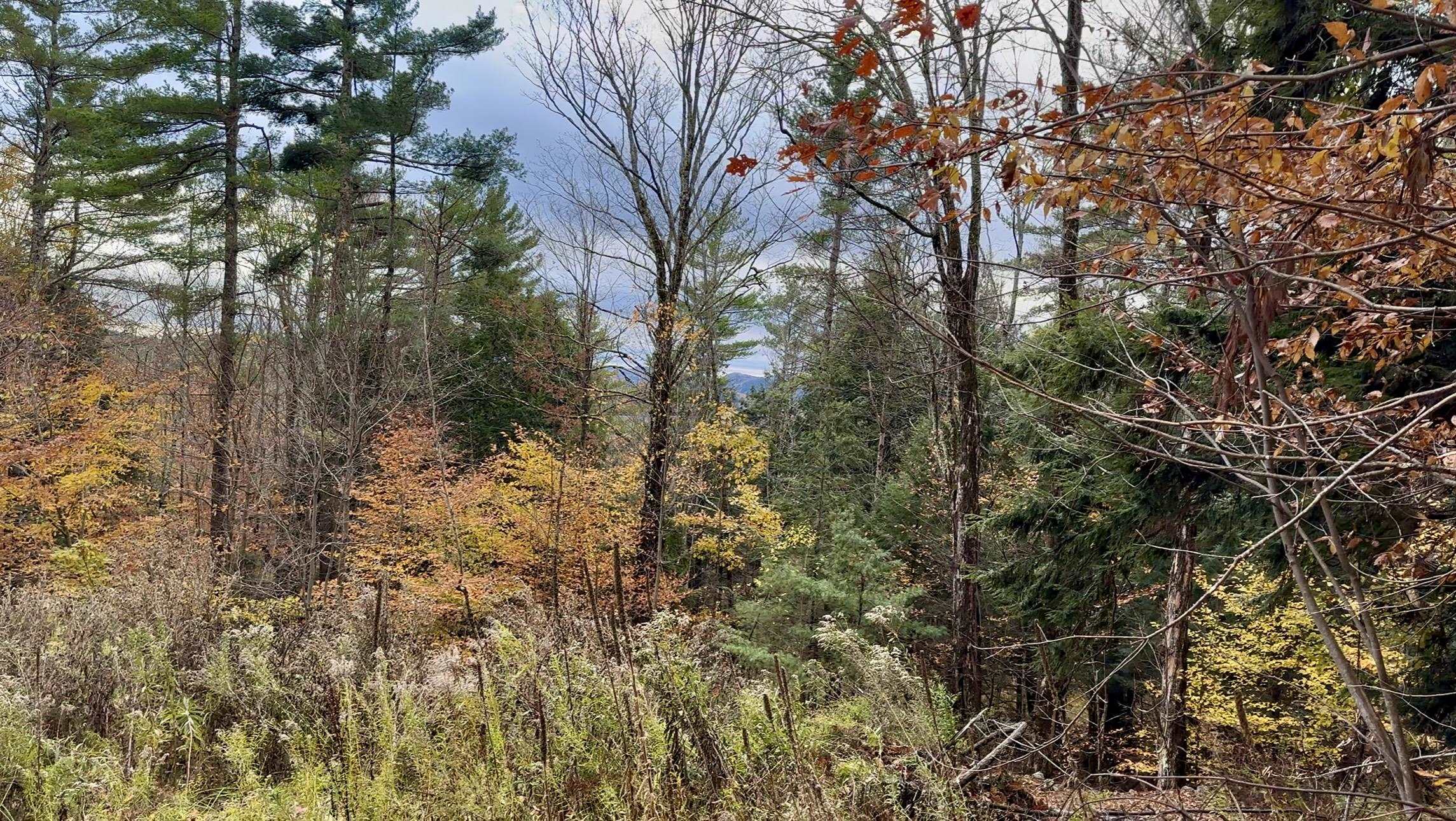 MLS #5070977 image #27