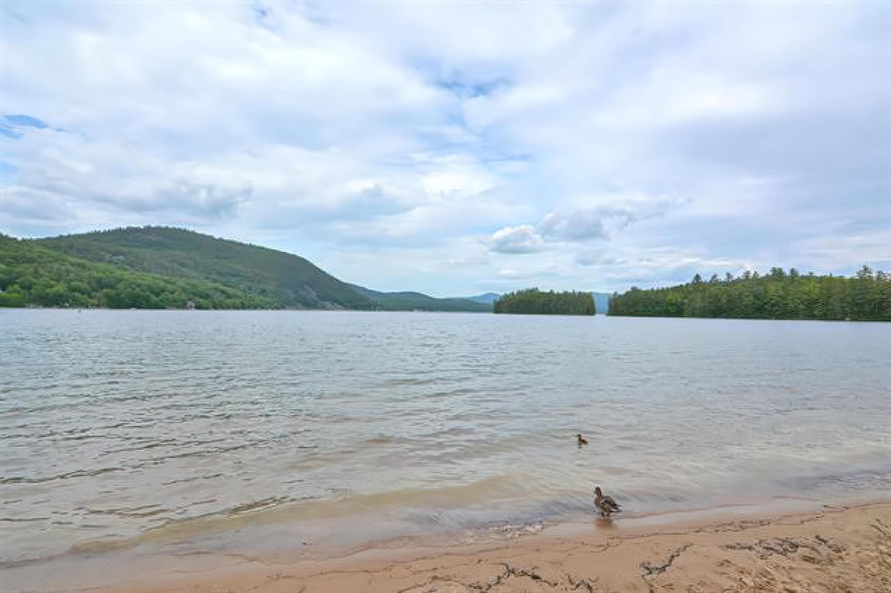 Homes for sale in Bristol, NH | 00 Peaked Hill Rd, Bristol, NH 03222 | MLS# 5070977