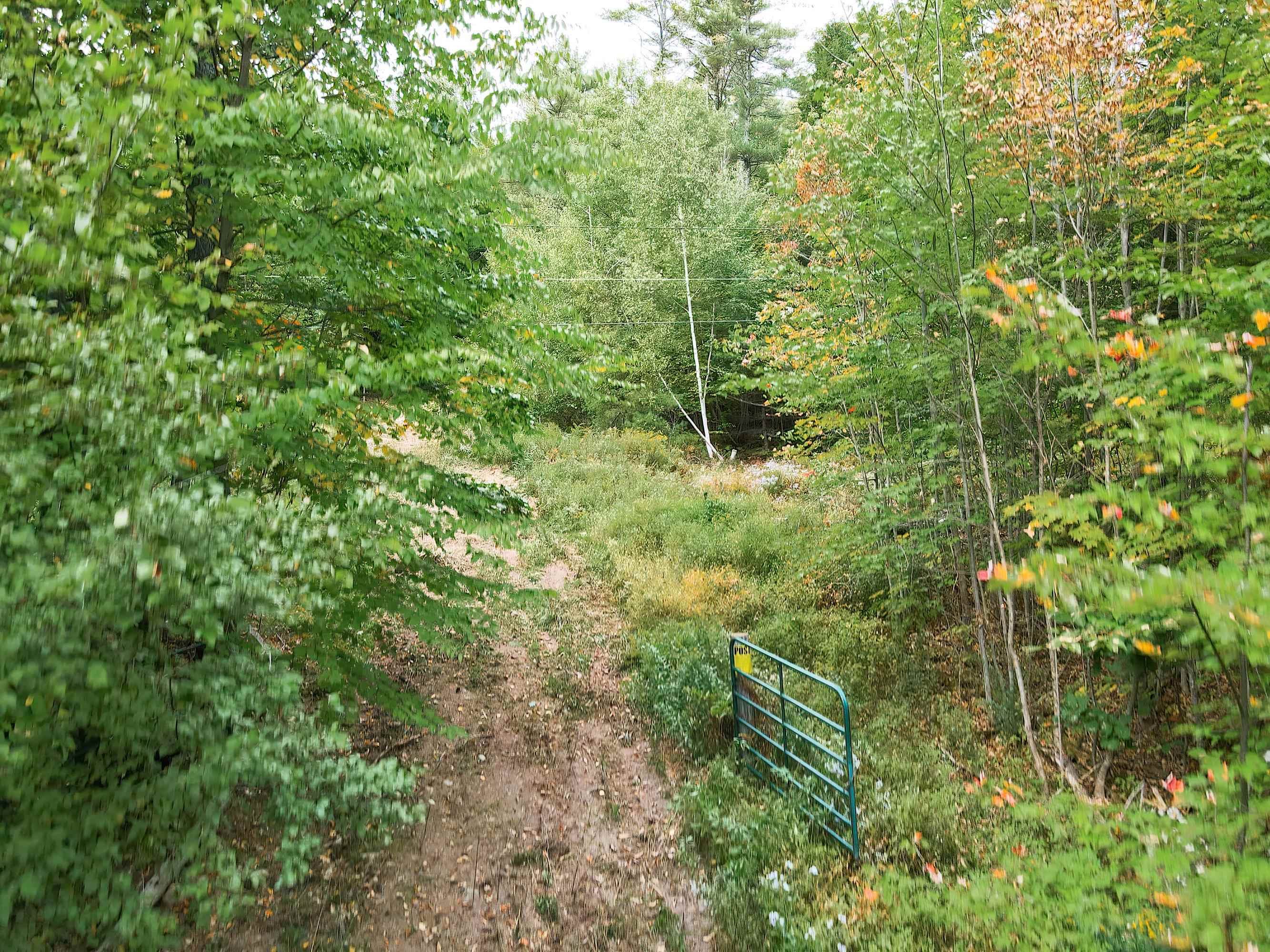 MLS #5070977 image #9