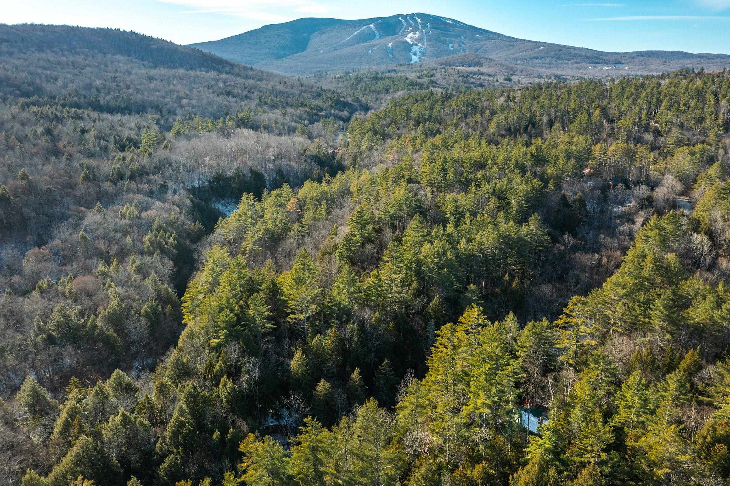 Homes for sale in Jamaica, VT | 4410 Pikes Falls Rd, Jamaica, VT 05343 | MLS# 5070982