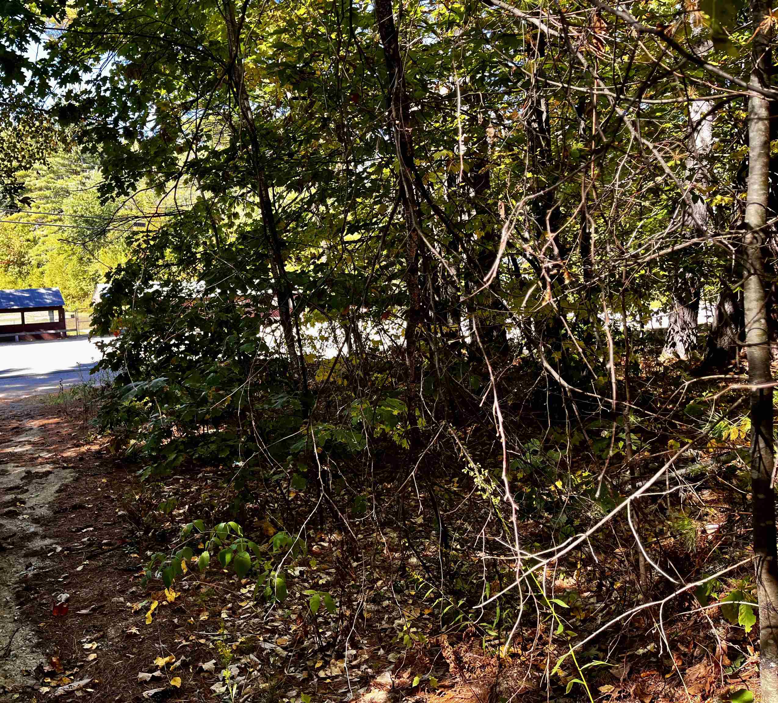 Homes for sale in Madison, NH | Conway Rd, Madison, NH 03849 | MLS# 5070990