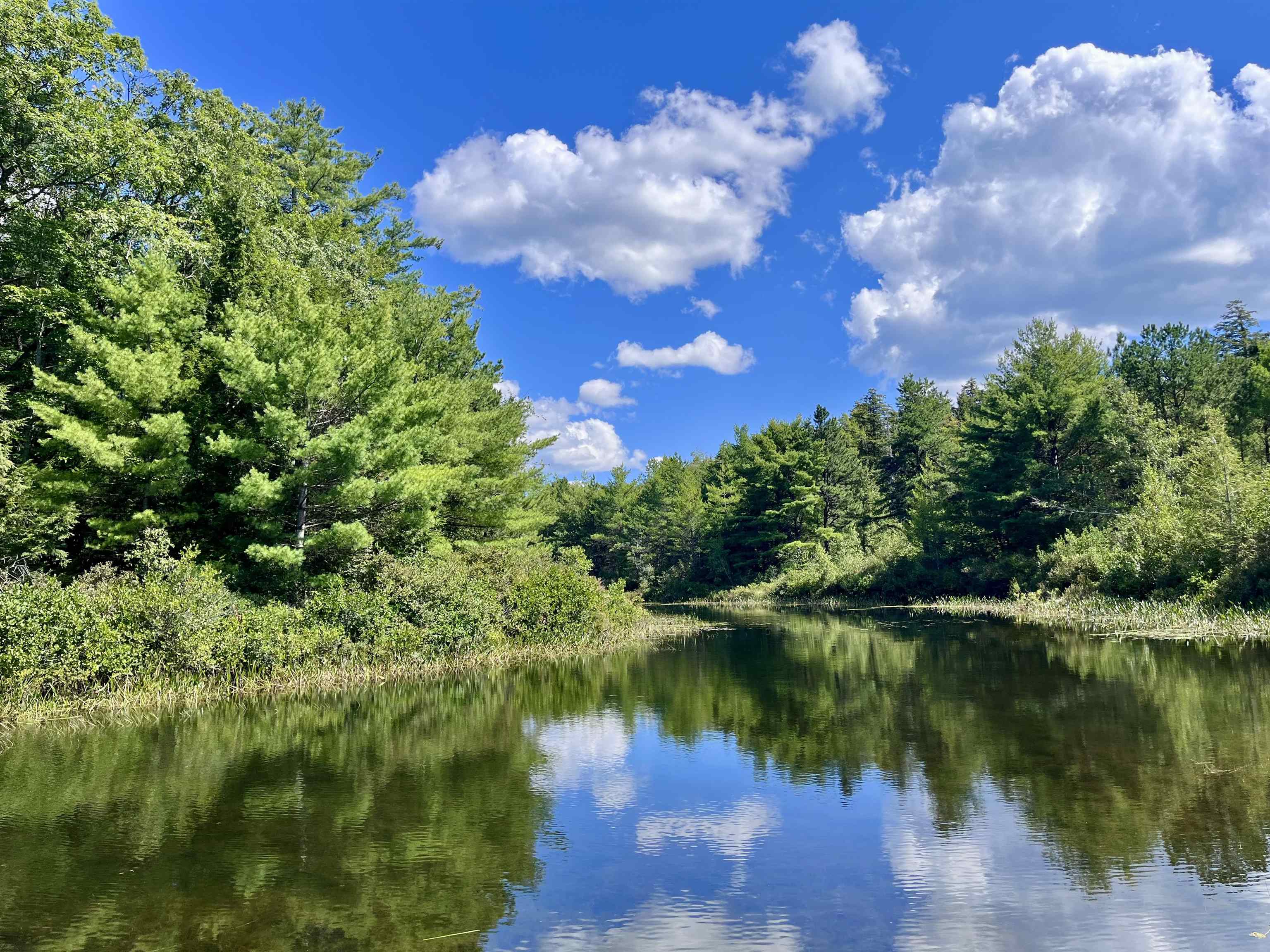 Homes for sale in Madison, NH | Conway Rd, Madison, NH 03849 | MLS# 5070990