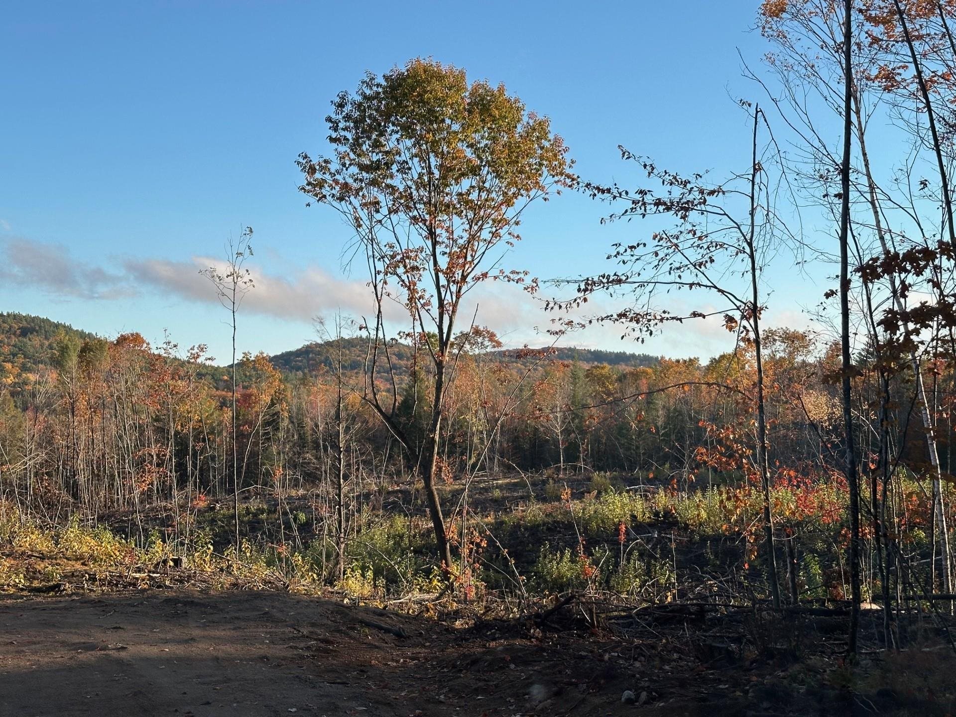 Photo of 00 Thurley Road Ossipee NH 03814