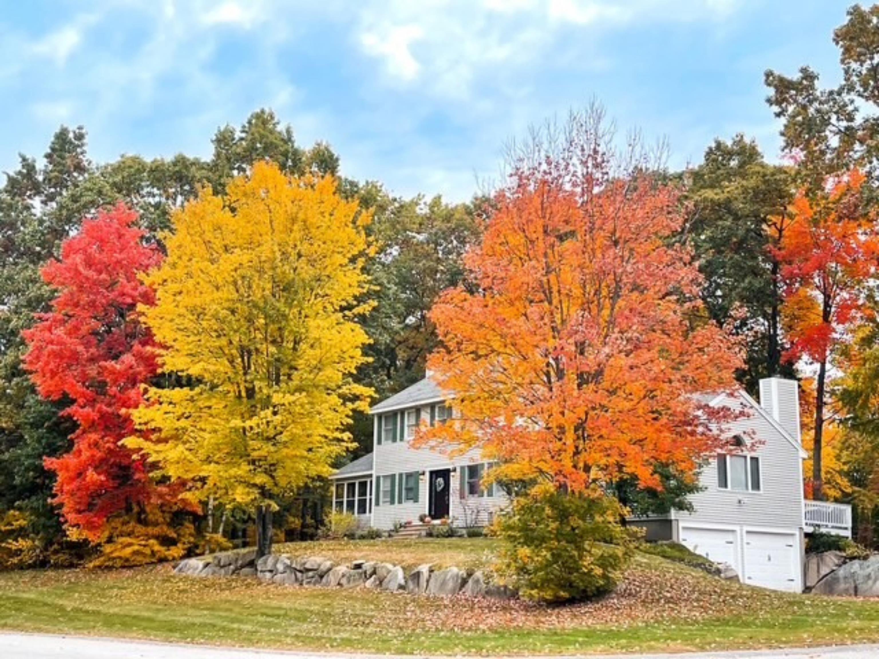 MLS #5071083 image #50