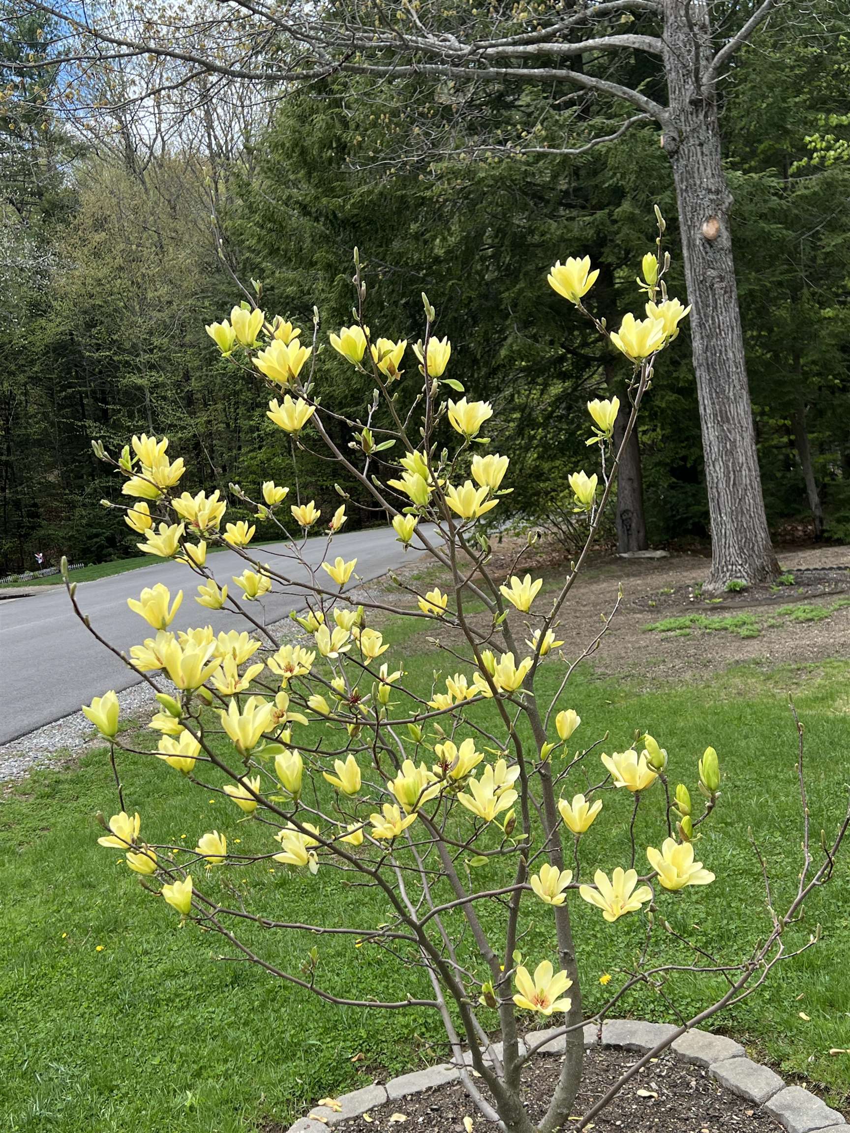 MLS #5071090 image #45