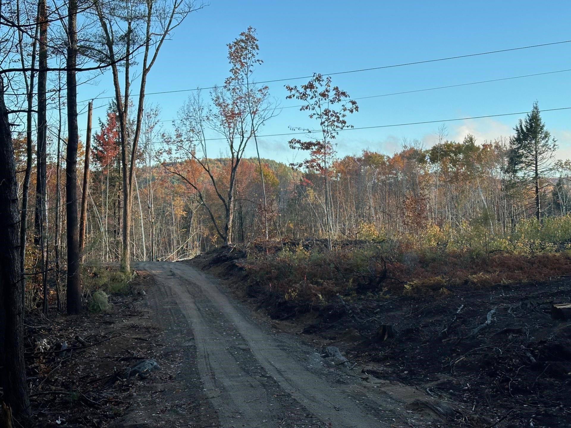 Photo of 00 Thurley Road Ossipee NH 03814