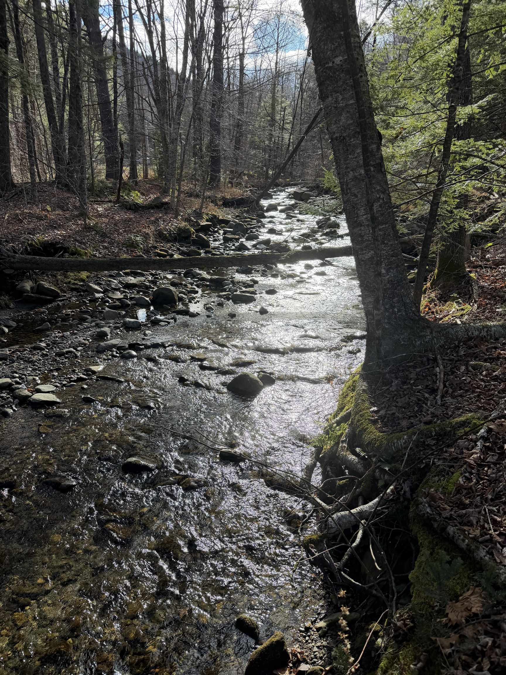Homes for sale in Marlboro, VT | 1720 Auger Hole Rd, Marlboro, VT 05301 | MLS# 5071124