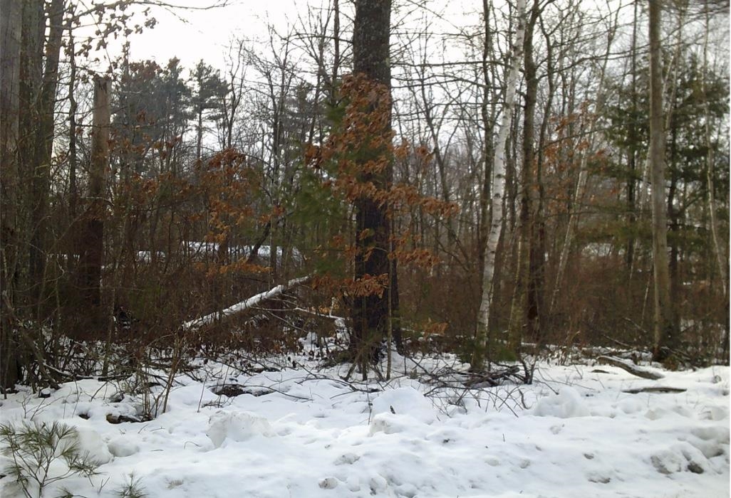 Homes for sale in Derry, NH | 8 Mark Ave, Derry, NH 03038 | MLS# 5071165