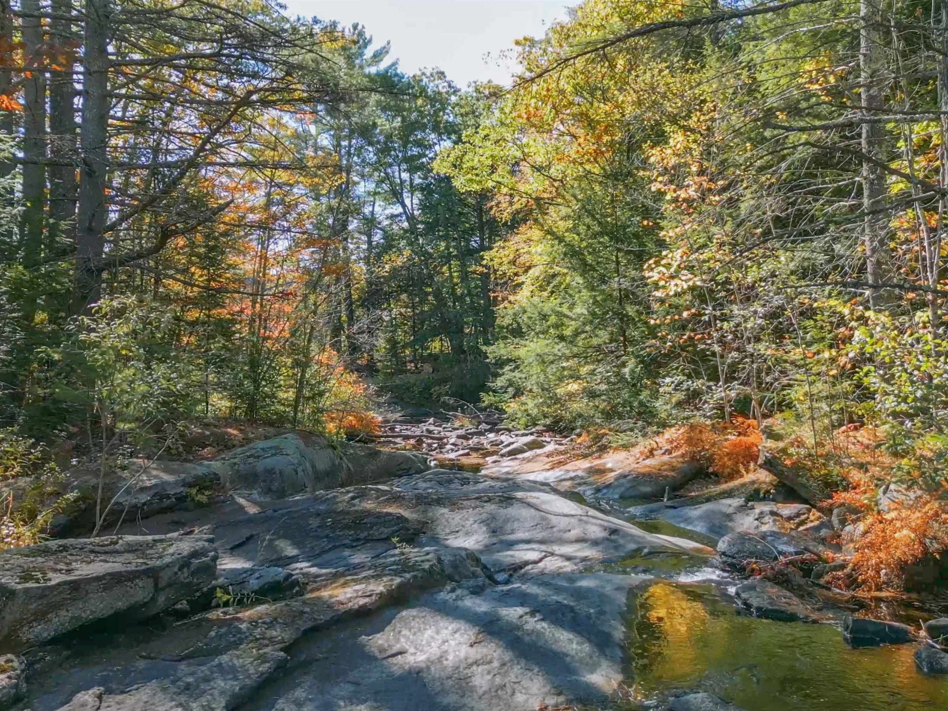 38 Pond Brook Rd, Wentworth, NH 03282