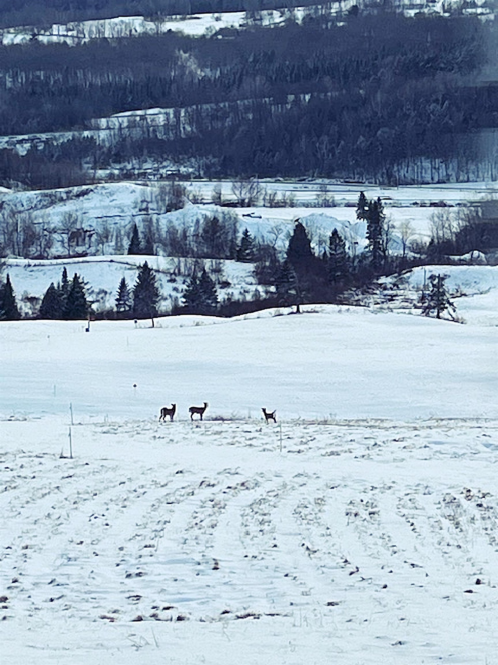 Homes for sale in Barton, VT | 32 Smith Farm Rd, Barton, VT 05822 | MLS# 5071208