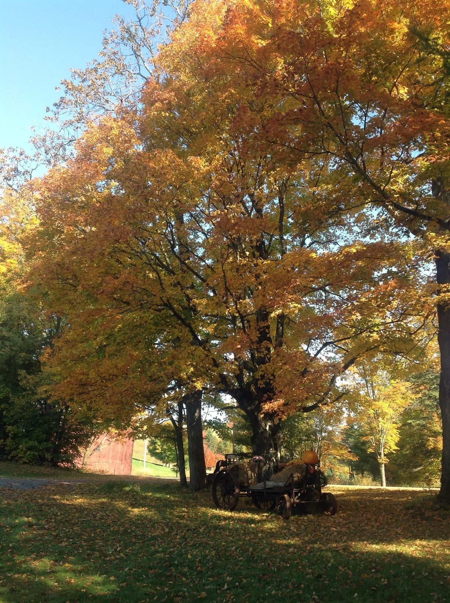 Homes for sale in Danville, VT | 2155 Oneida Rd, Danville, VT 05828 | MLS# 5071214