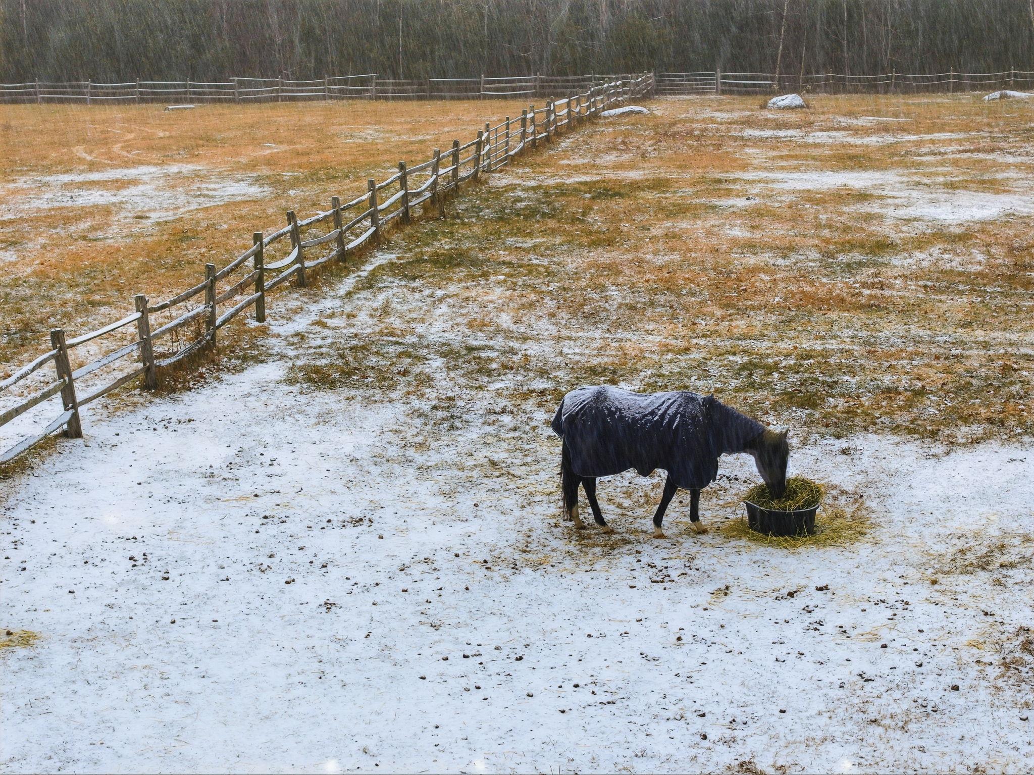 Homes for sale in Peterborough, NH | 37 Ashlee Dr, Peterborough, NH 03458 | MLS# 5071215