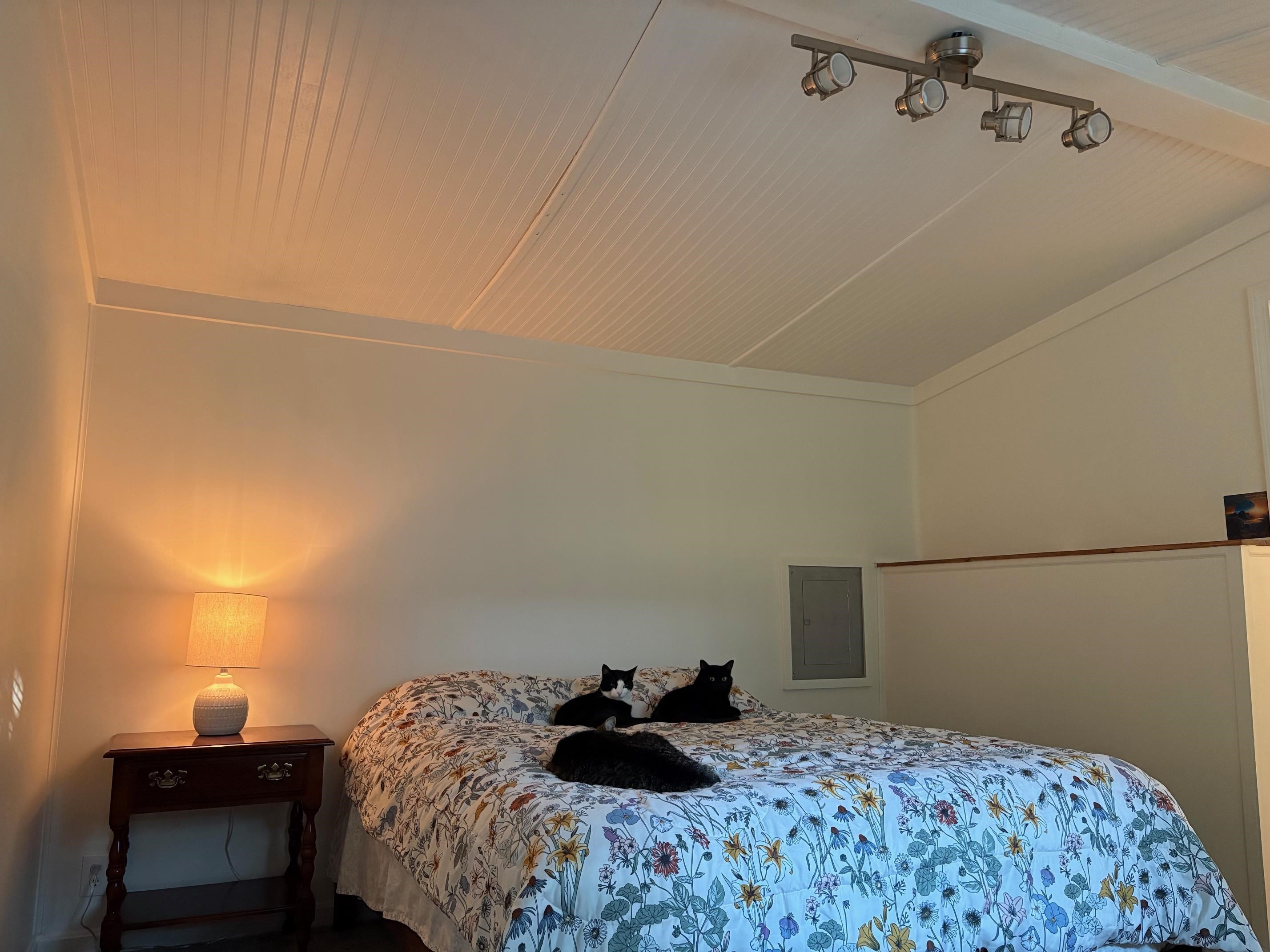 1025 Mountainview Ave, Charlestown, NH 03603