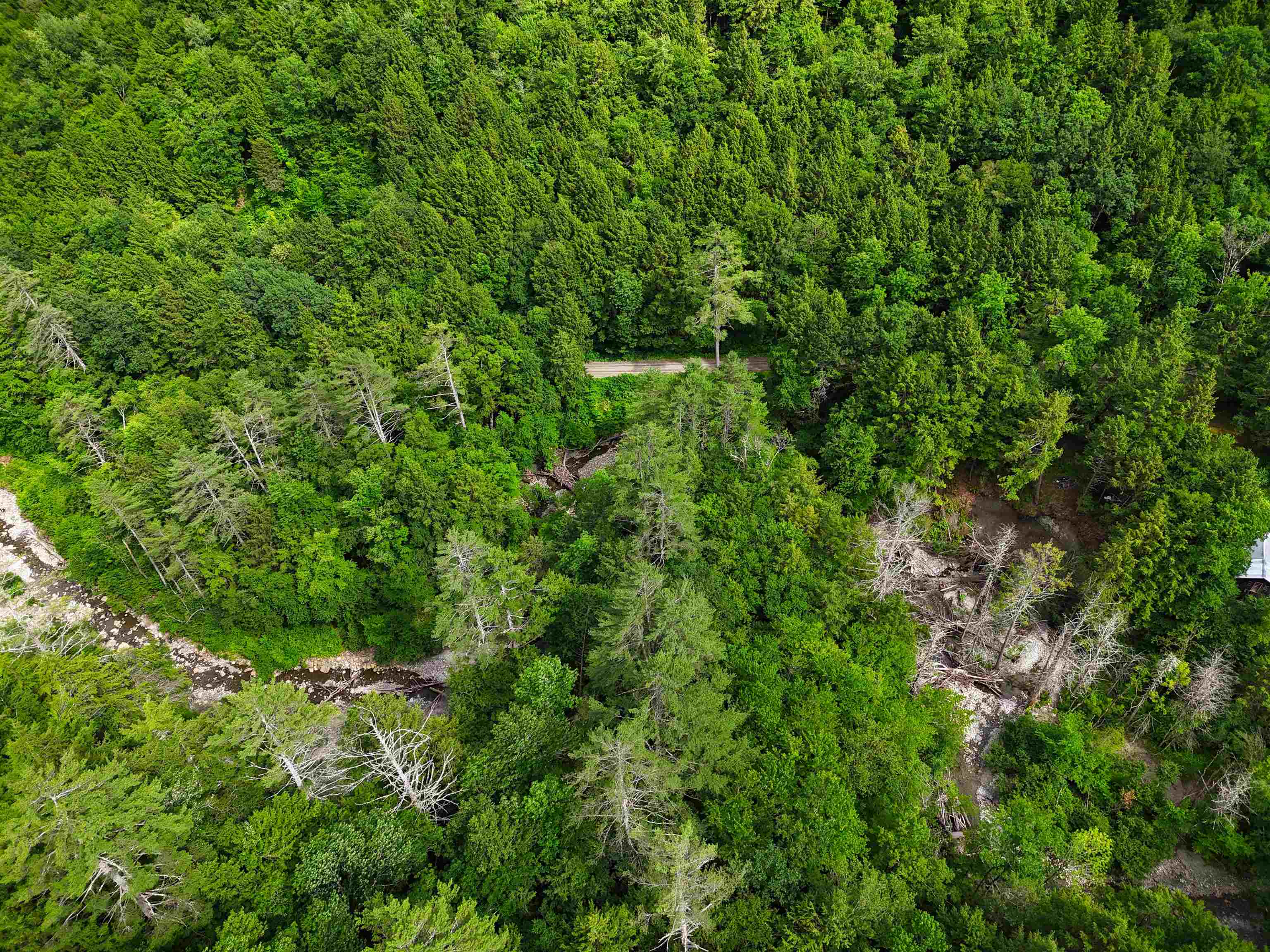 Homes for sale in Newfane, VT | 32 Hunter Brook Rd, Newfane, VT 05351 | MLS# 5071275