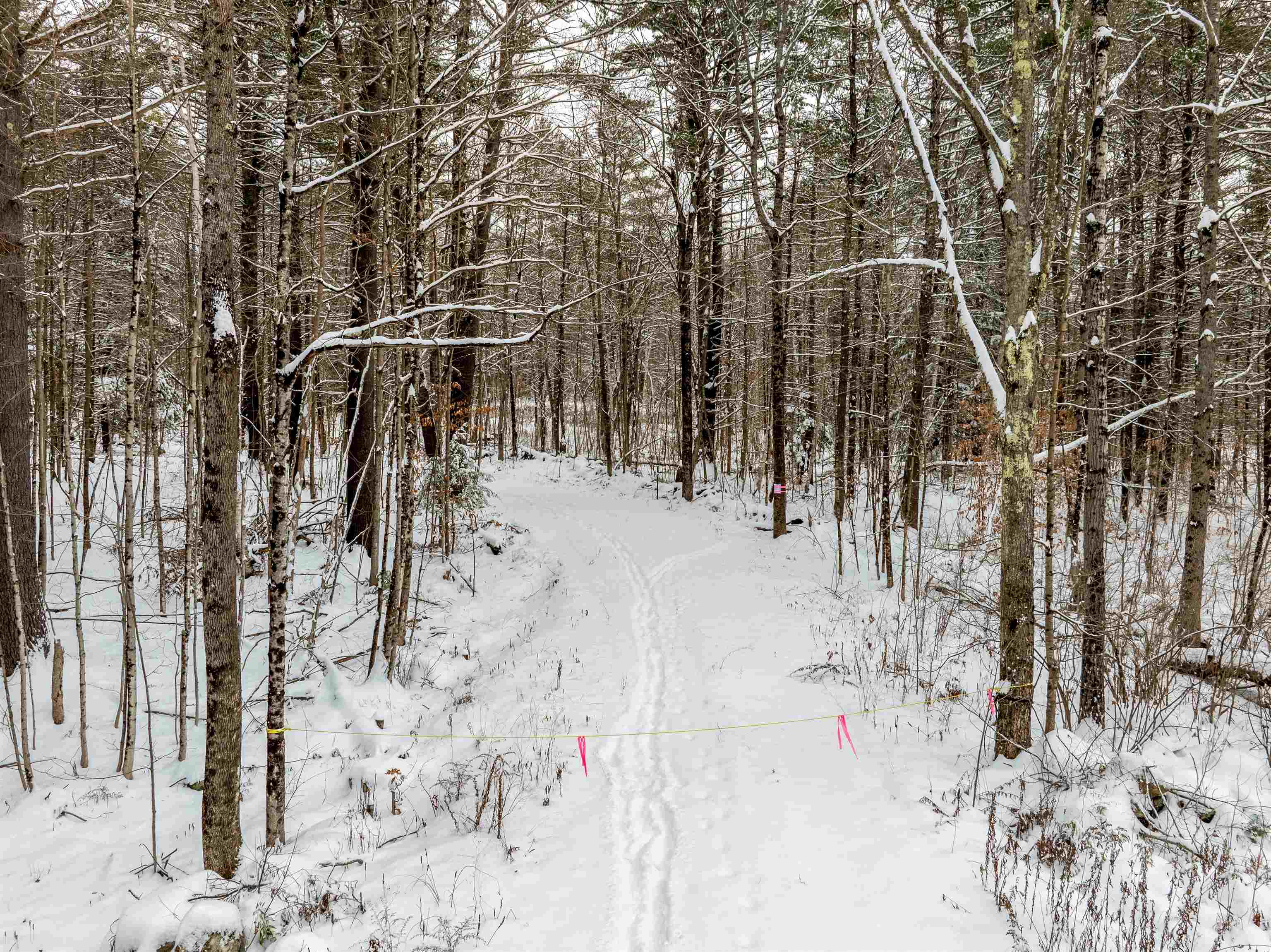 Homes for sale in Plainfield, NH | 0 31 Bean Rd, Plainfield, NH 03781 | MLS# 5071297
