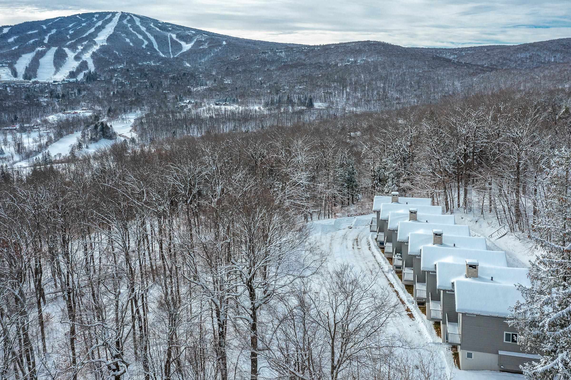 Homes for sale in Winhall, VT | 8 Silver Birch Rd #8, Winhall, VT 05340 | MLS# 5071313