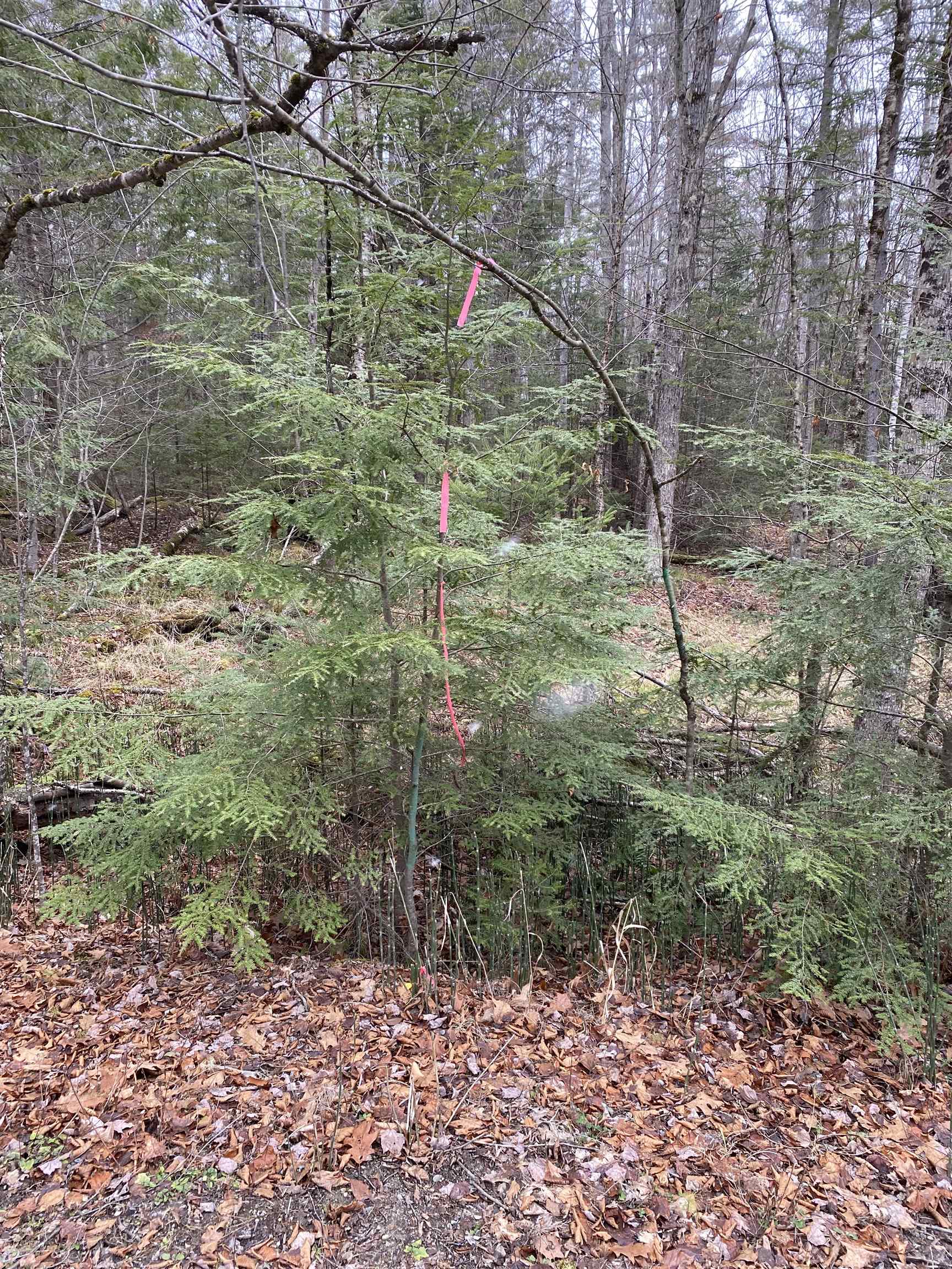 Homes for sale in Haverhill, NH | 84 Vernon Dr, Haverhill, NH 03765 | MLS# 5071317