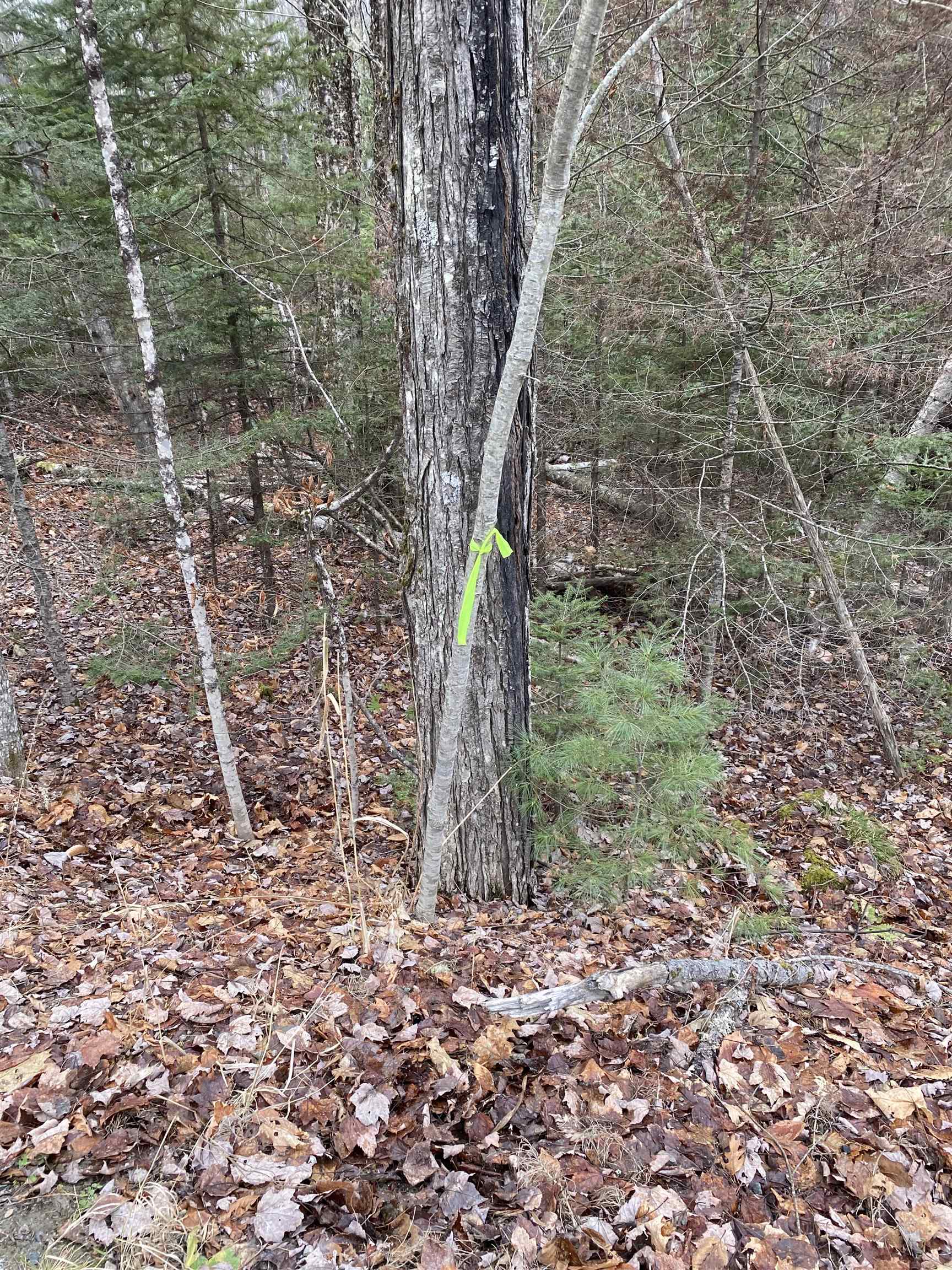 Homes for sale in Haverhill, NH | 84 Vernon Dr, Haverhill, NH 03765 | MLS# 5071317