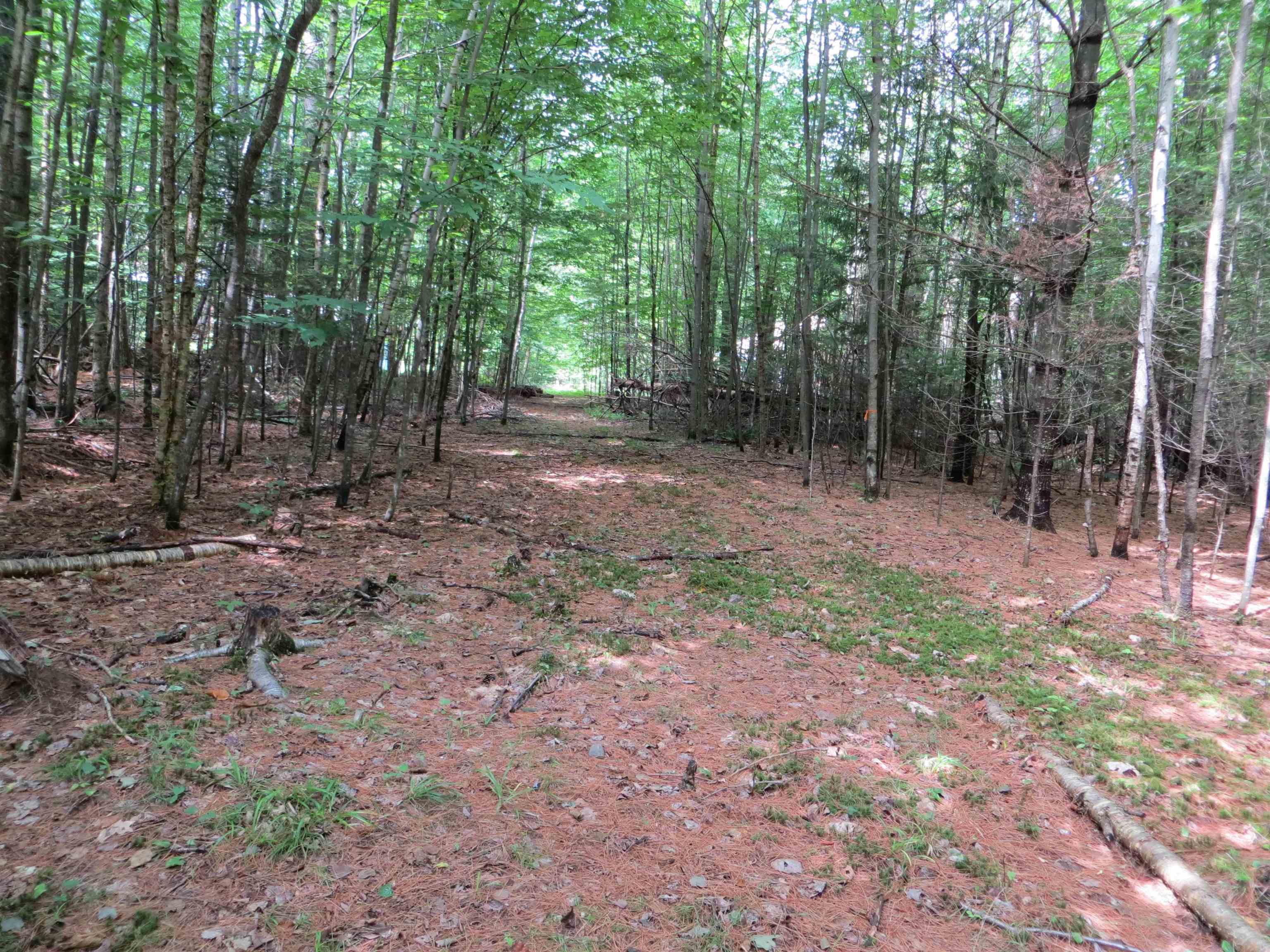 Homes for sale in Haverhill, NH | 84 Vernon Dr, Haverhill, NH 03765 | MLS# 5071317