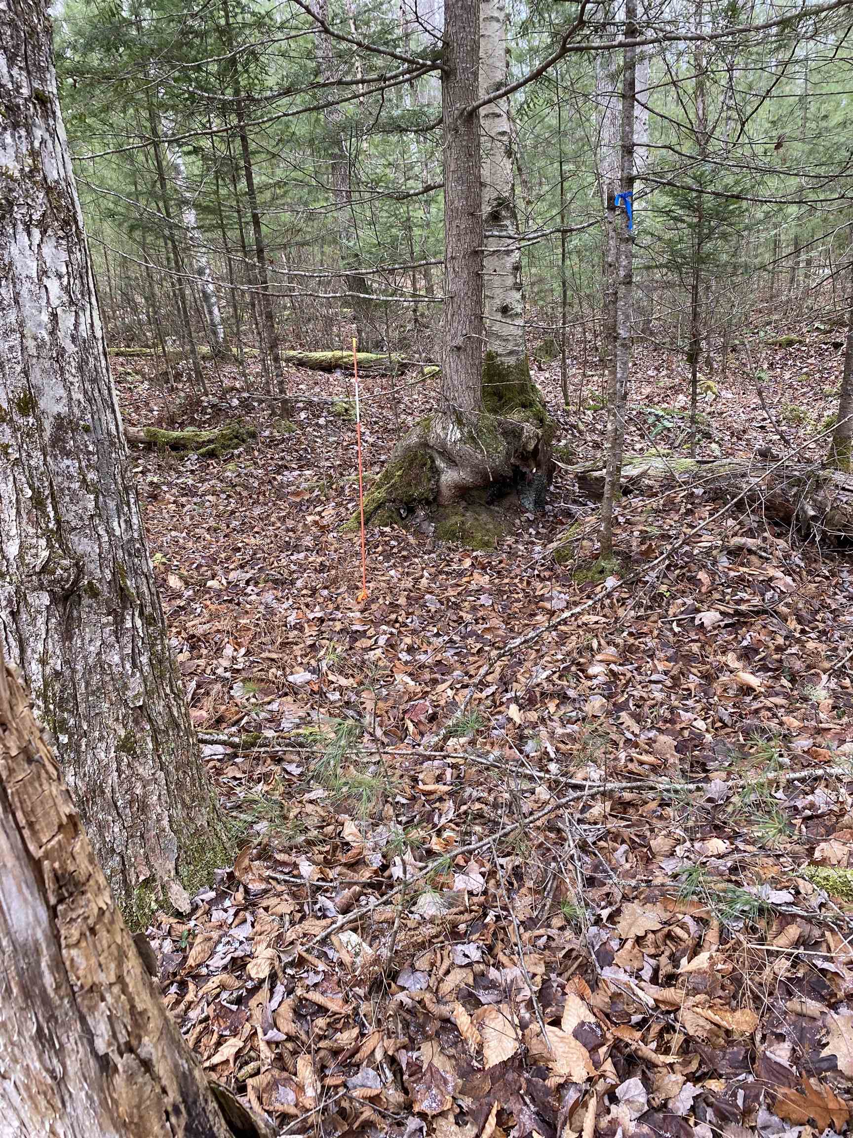 Homes for sale in Haverhill, NH | 84 Vernon Dr, Haverhill, NH 03765 | MLS# 5071317