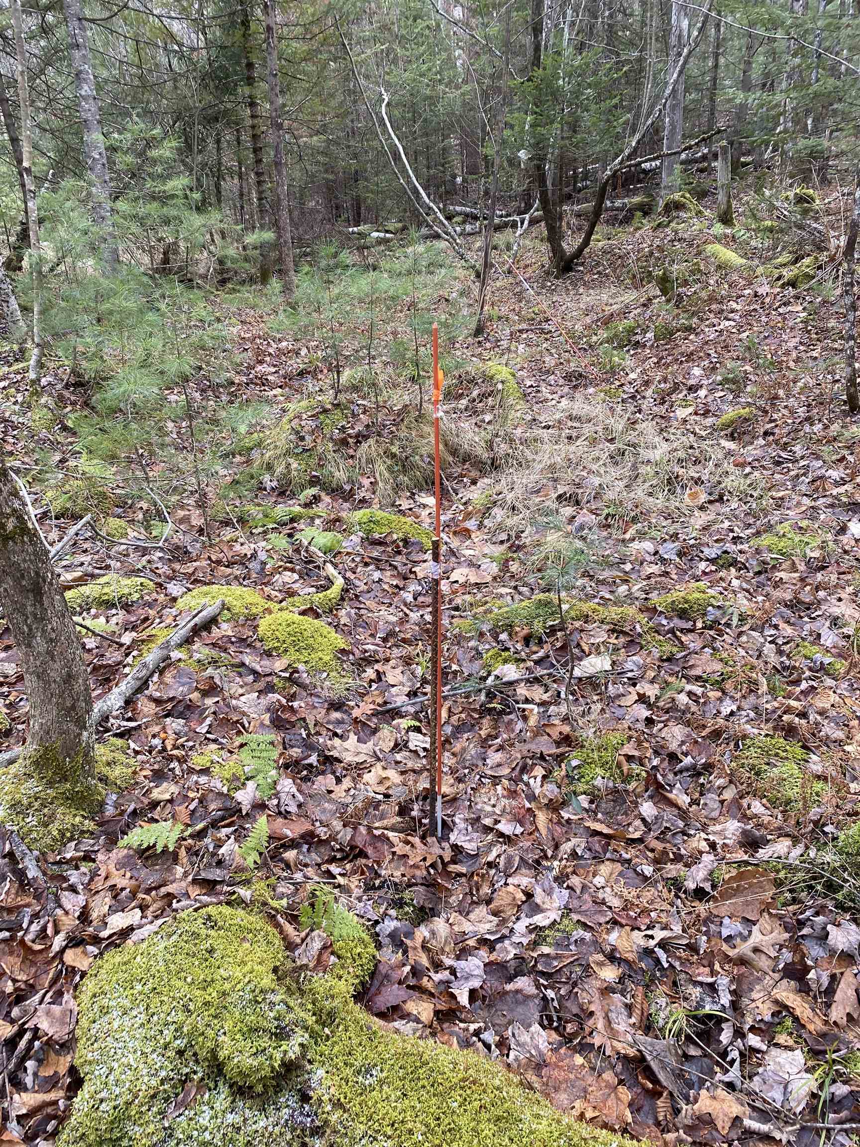 Homes for sale in Haverhill, NH | 84 Vernon Dr, Haverhill, NH 03765 | MLS# 5071317