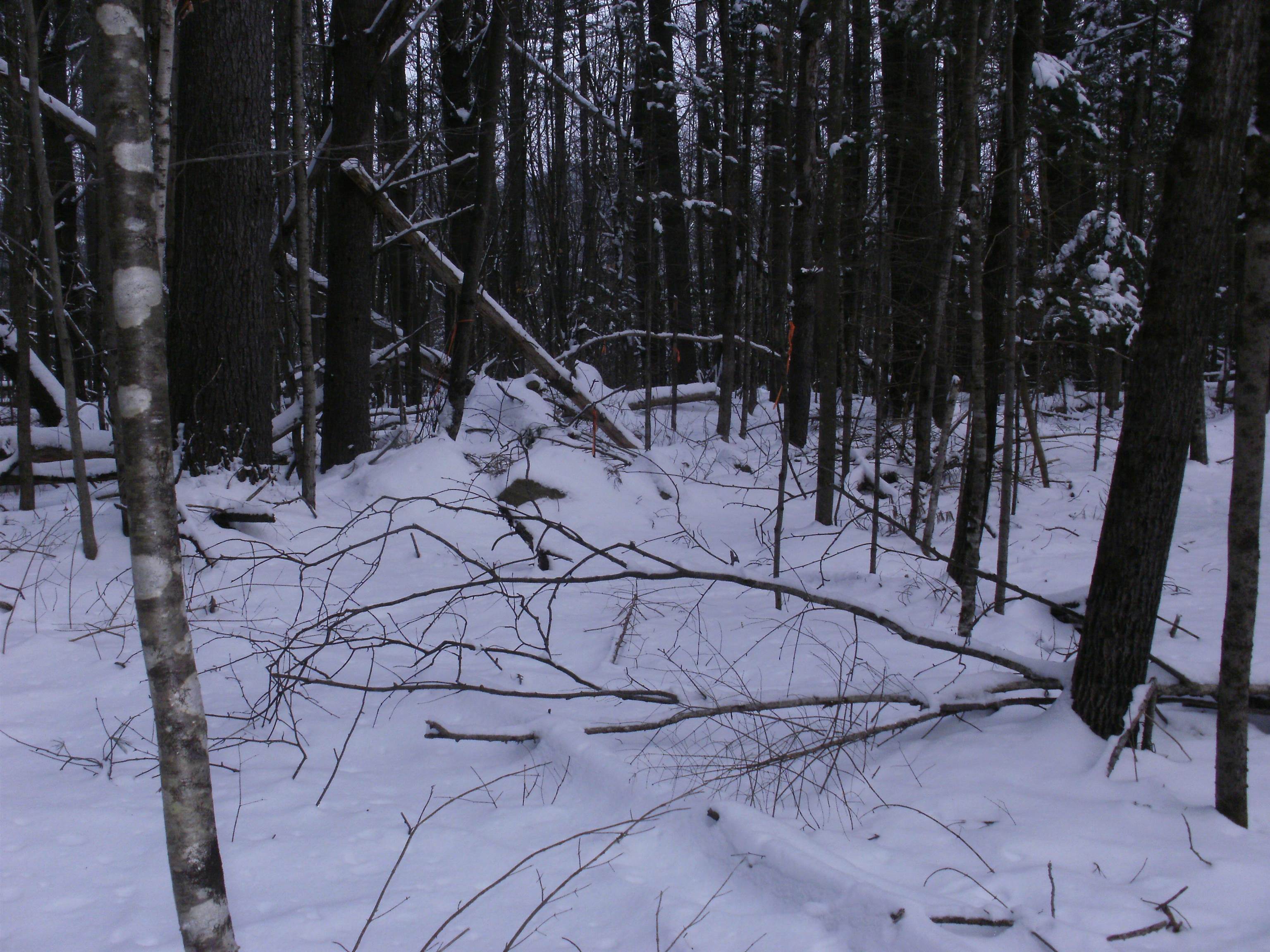 84 Vernon Ave, Haverhill, NH 03765