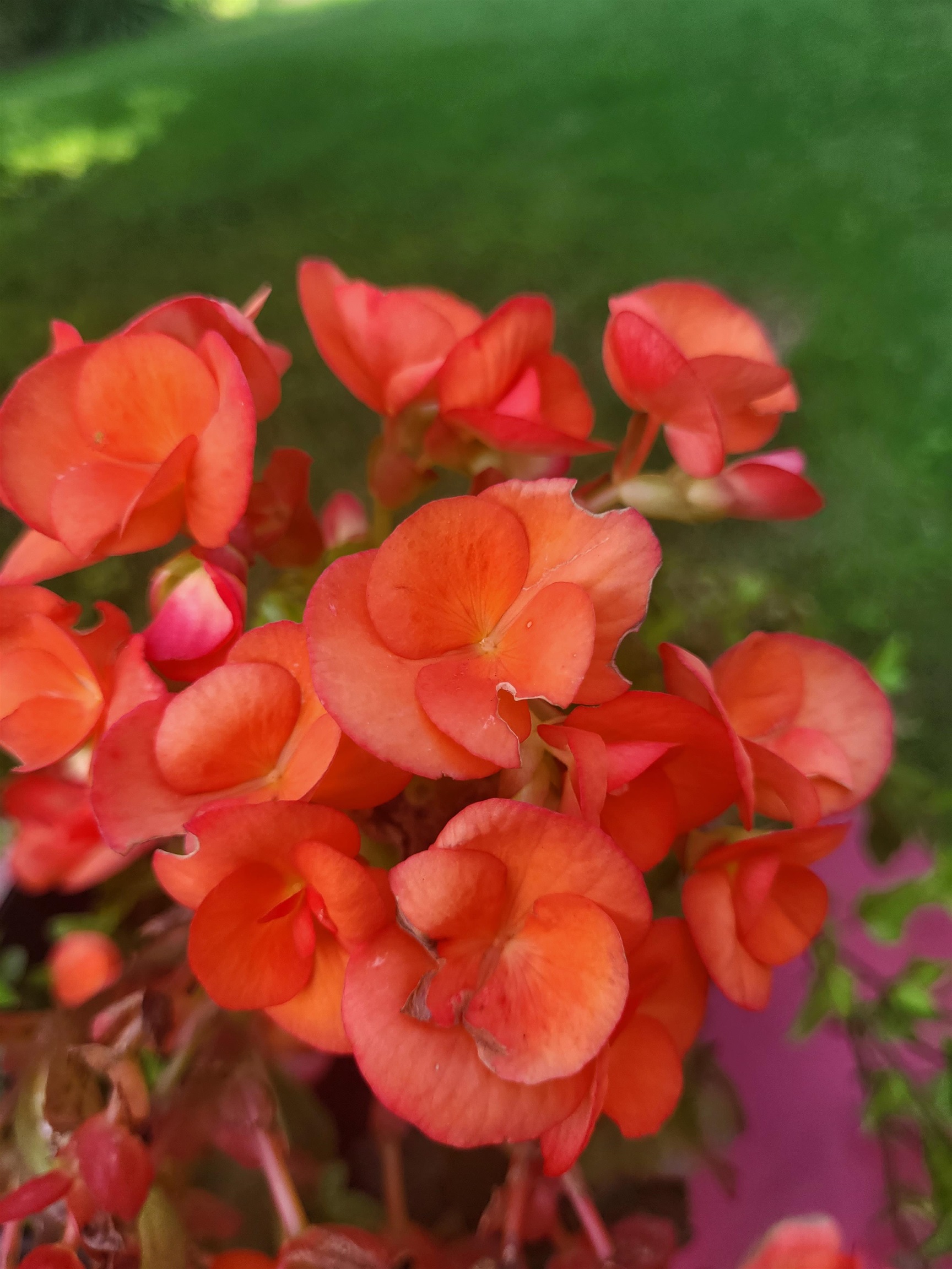 Homes for sale in Hartford, VT | 25 Marshall Ave, Hartford, VT 05001 | MLS# 5071321