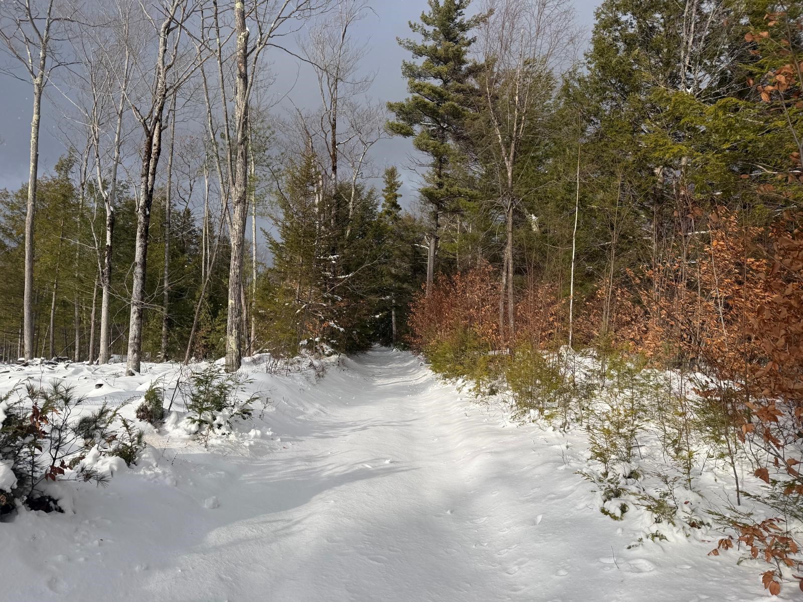 Homes for sale in Troy, NH | 000 Dwinell Rd, Troy, NH 03465 | MLS# 5071340