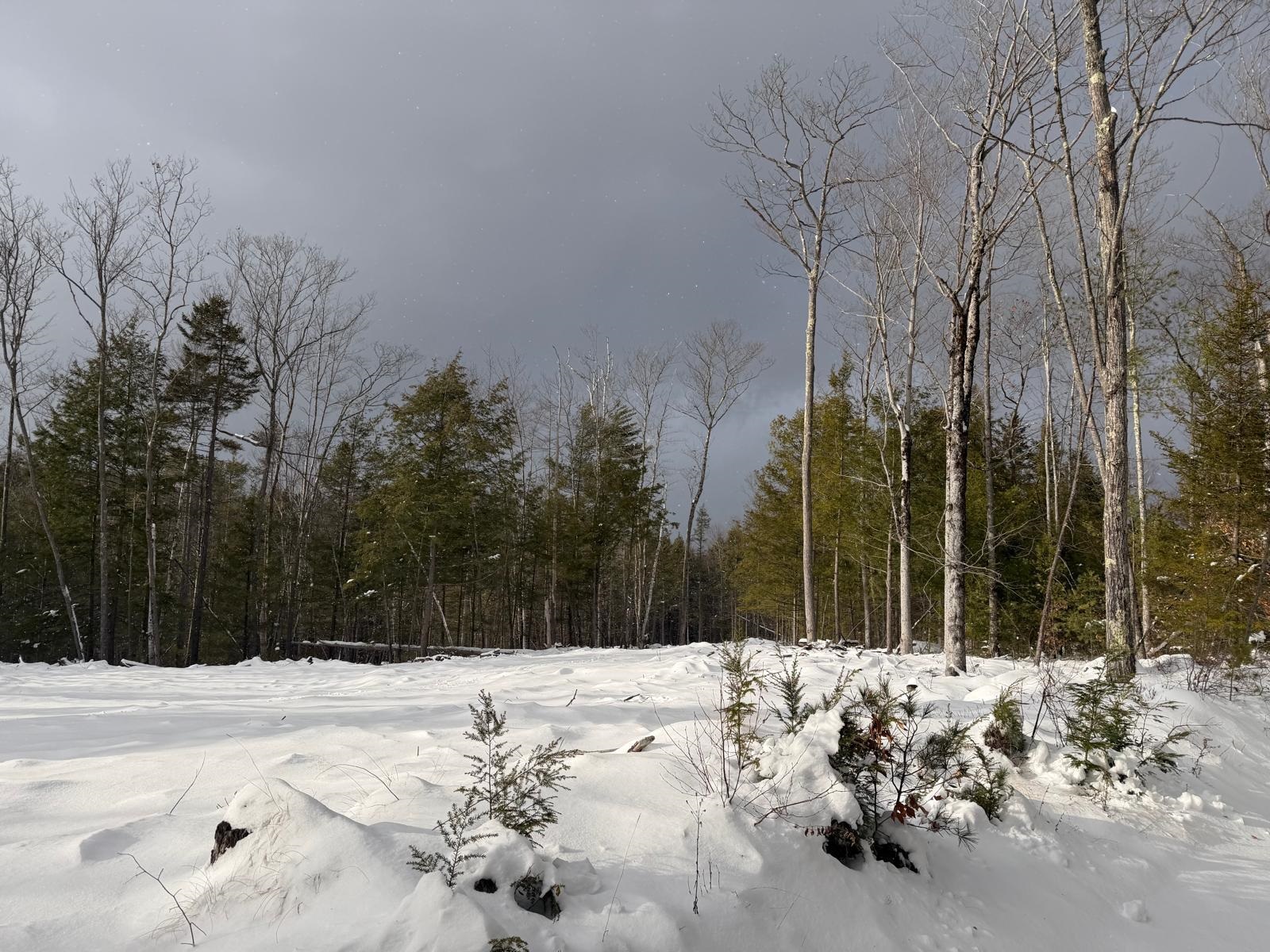 Homes for sale in Troy, NH | 000 Dwinell Rd, Troy, NH 03465 | MLS# 5071340