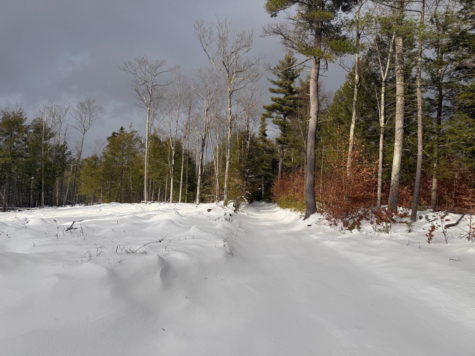 Homes for sale in Troy, NH | 000 Dwinell Rd, Troy, NH 03465 | MLS# 5071340