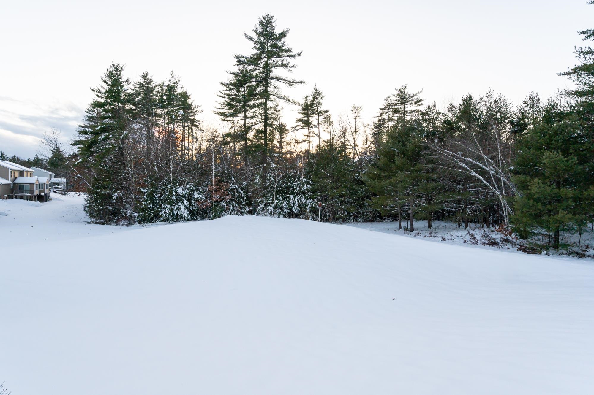 Homes for sale in Chester, NH | 226 Villager Rd, Chester, NH 03036 | MLS# 5071349