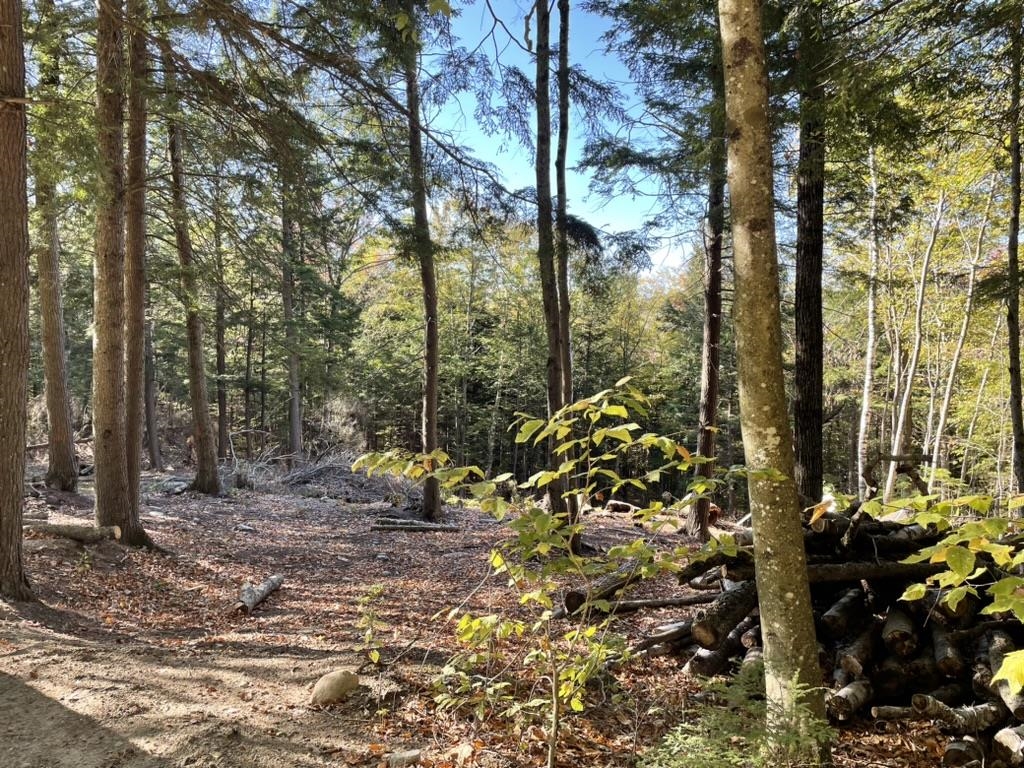 MLS #5071368 image #6