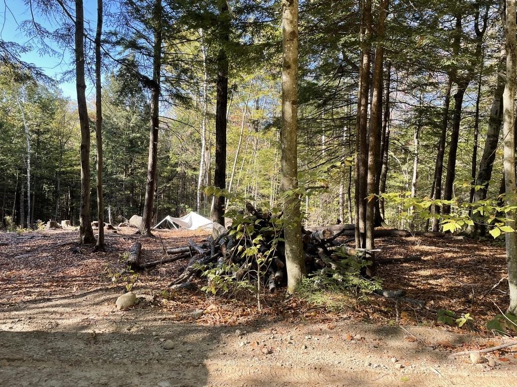 Homes for sale in Alexandria, NH | 341 Perkins Hill Rd, Alexandria, NH 03222 | MLS# 5071368