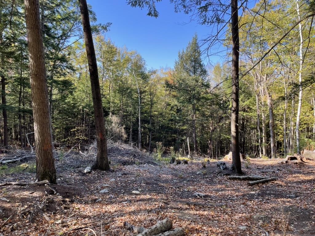 Homes for sale in Alexandria, NH | 341 Perkins Hill Rd, Alexandria, NH 03222 | MLS# 5071368