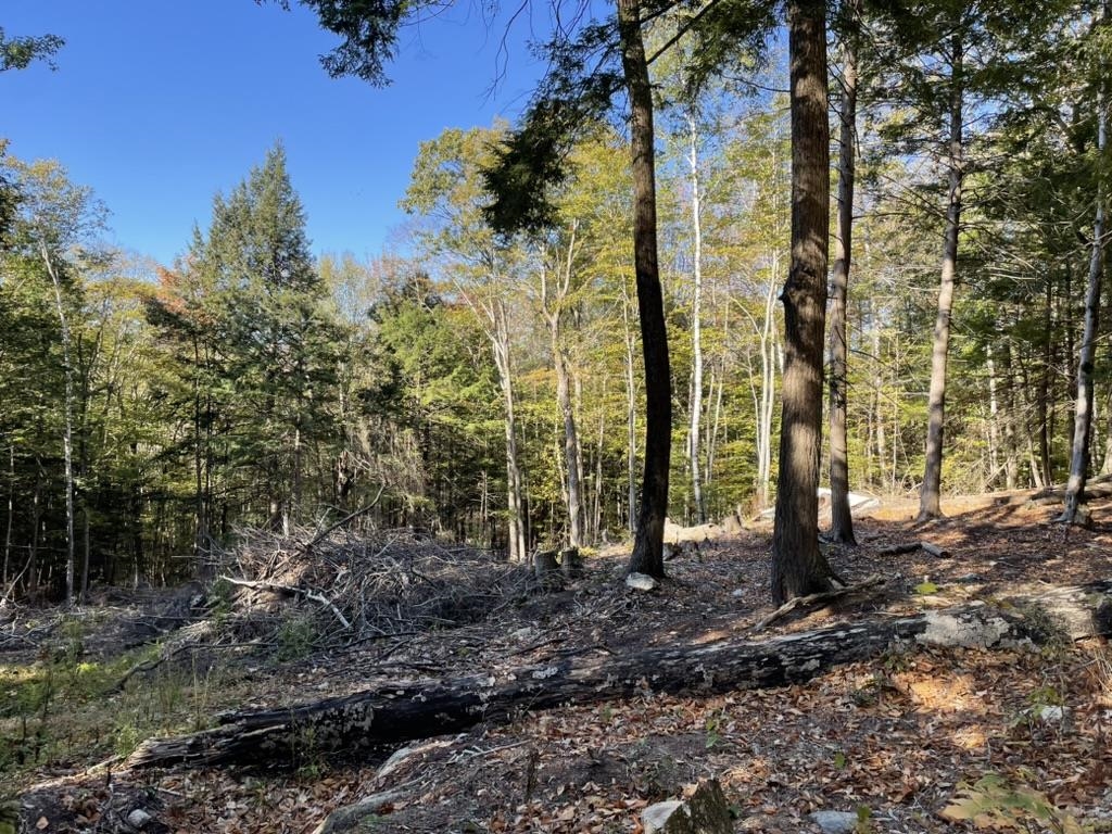 Homes for sale in Alexandria, NH | 341 Perkins Hill Rd, Alexandria, NH 03222 | MLS# 5071368