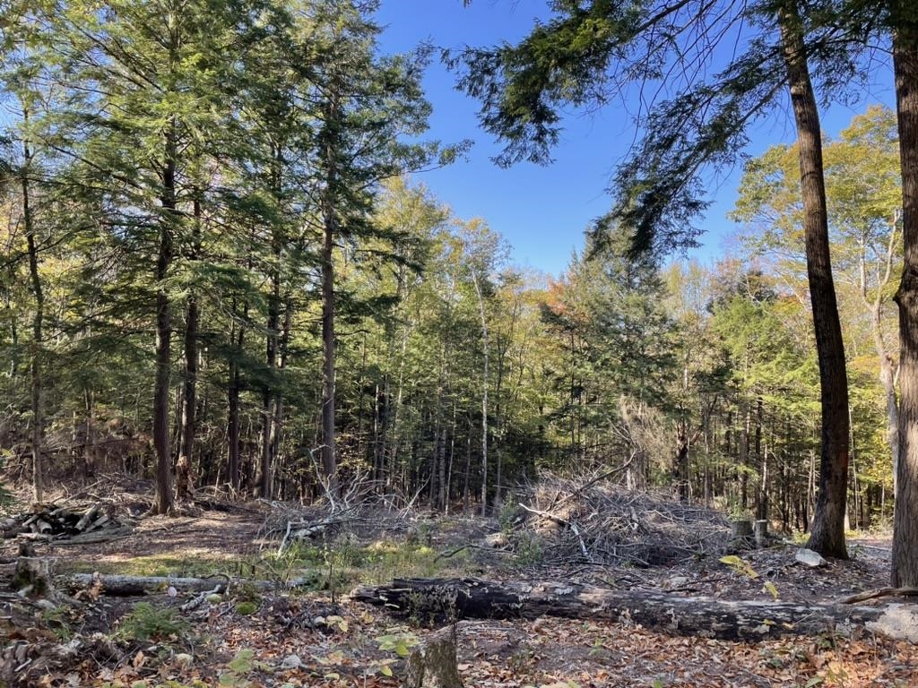 Homes for sale in Alexandria, NH | 341 Perkins Hill Rd, Alexandria, NH 03222 | MLS# 5071368