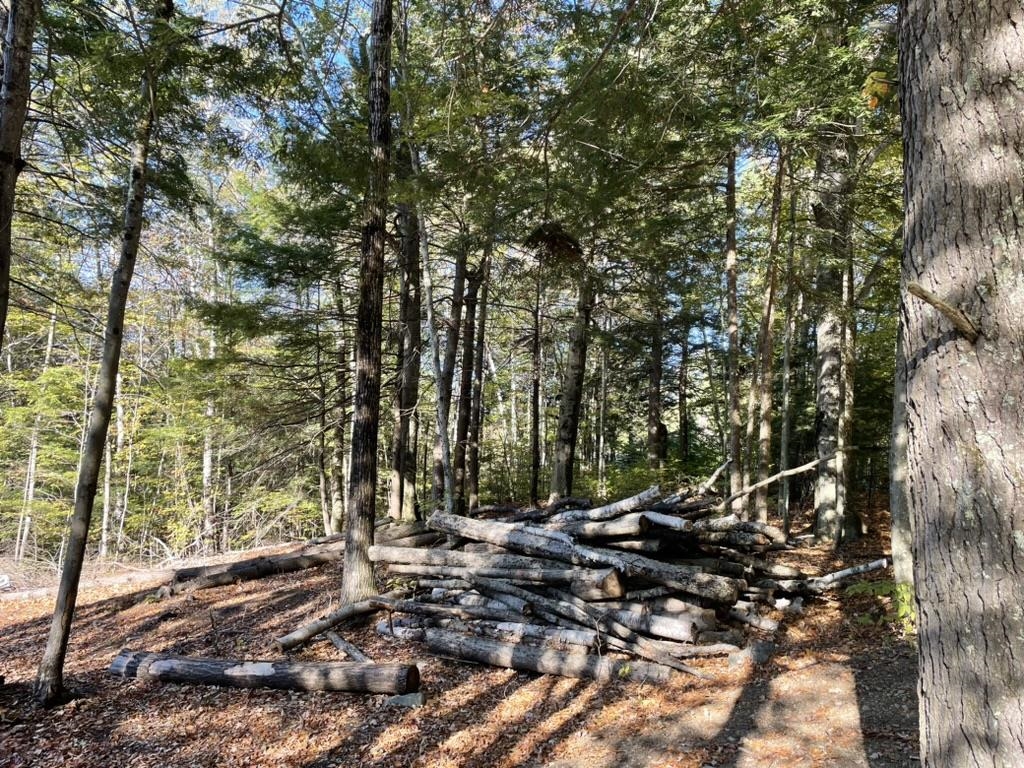 MLS #5071368 image #5