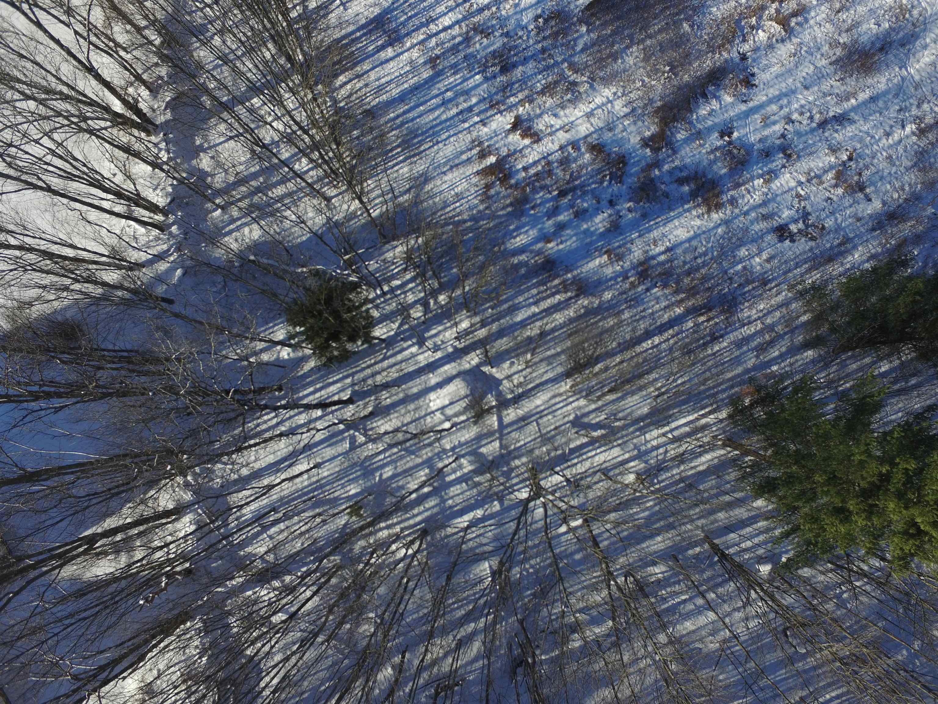 Homes for sale in Waitsfield, VT | 899 Common Rd, Waitsfield, VT 05673 | MLS# 5071373