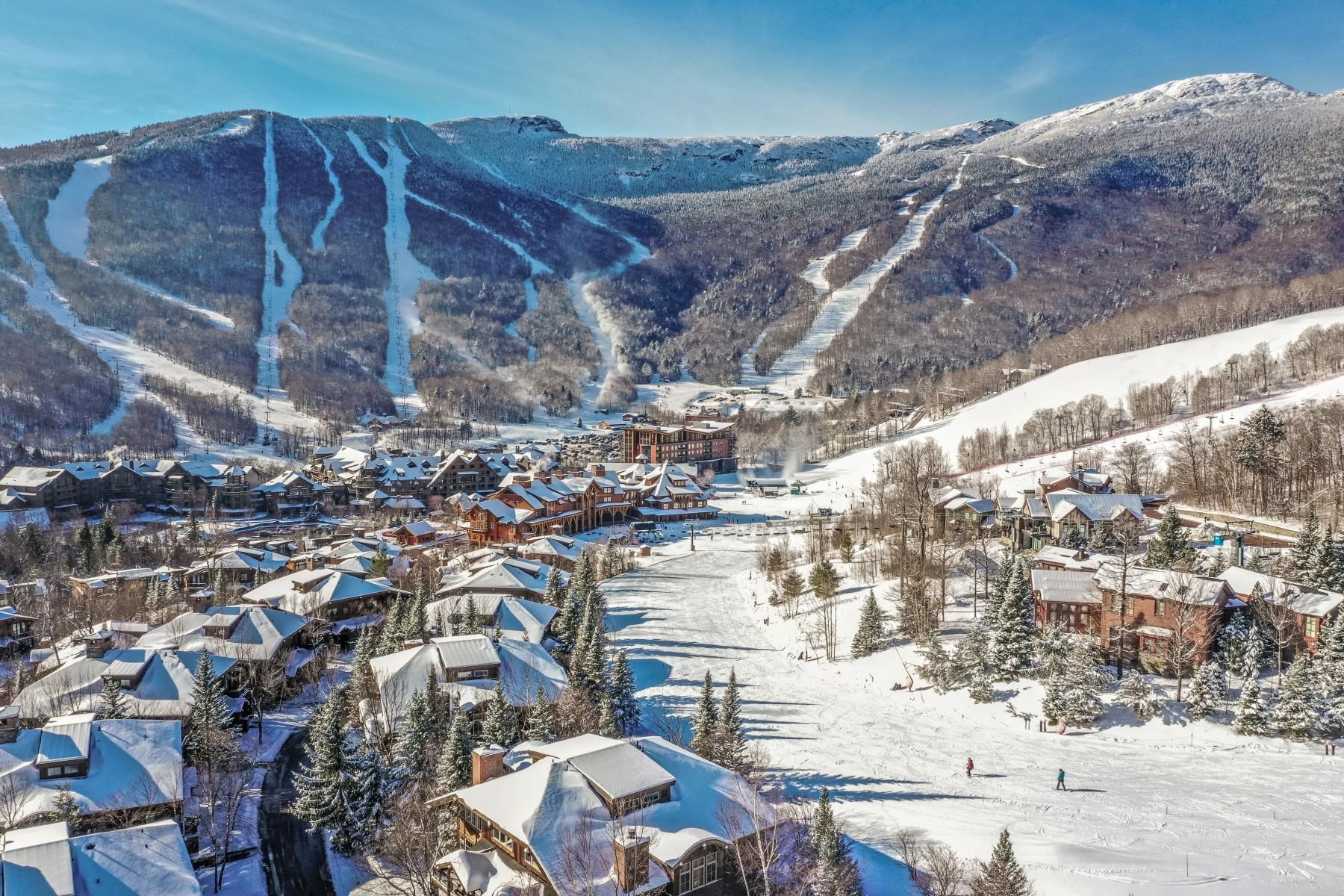 Homes for sale in Stowe, VT | 38 Inspiration Ln, Stowe, VT 05672 | MLS# 5071397