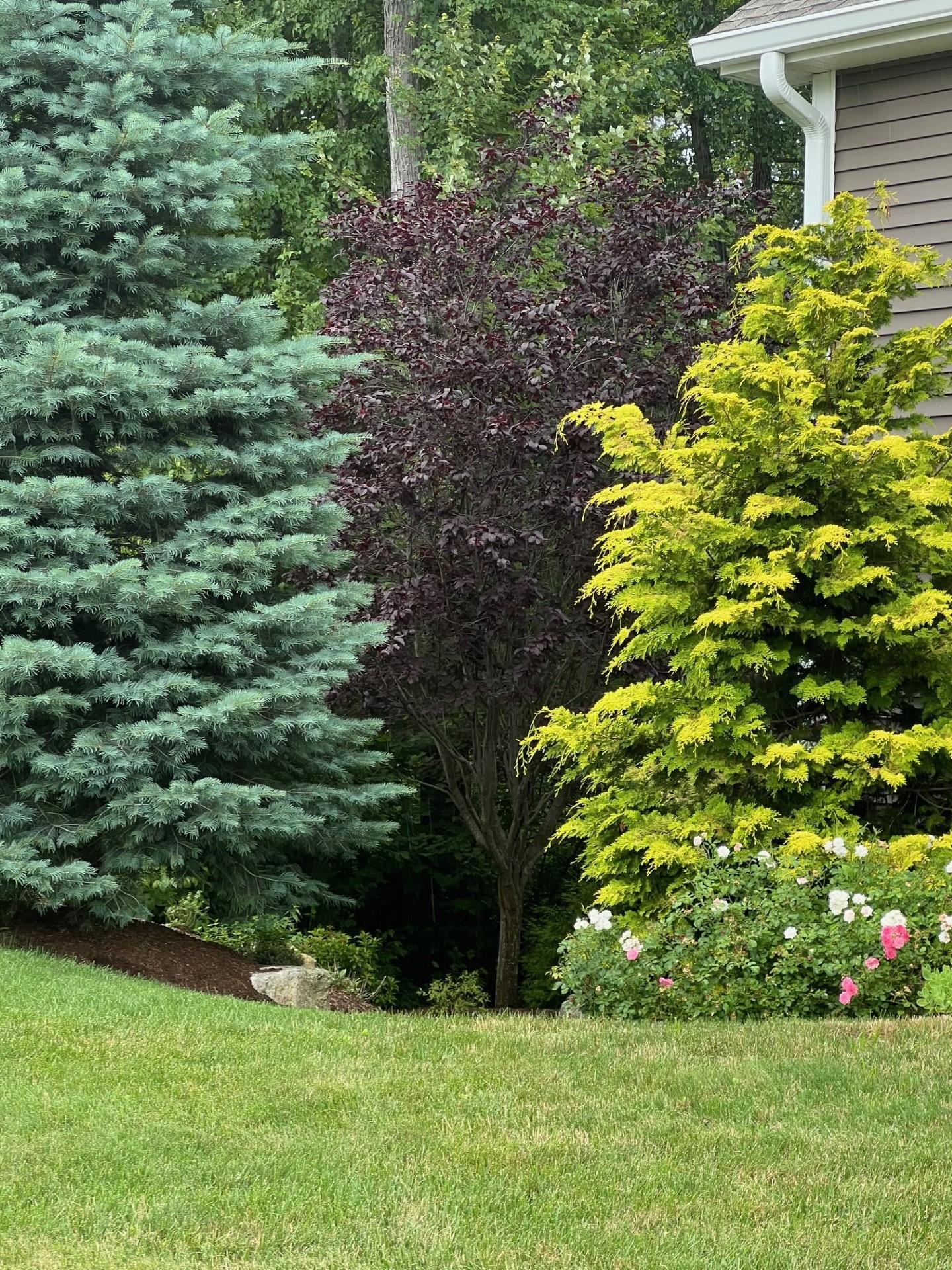 MLS #5071406 image #58