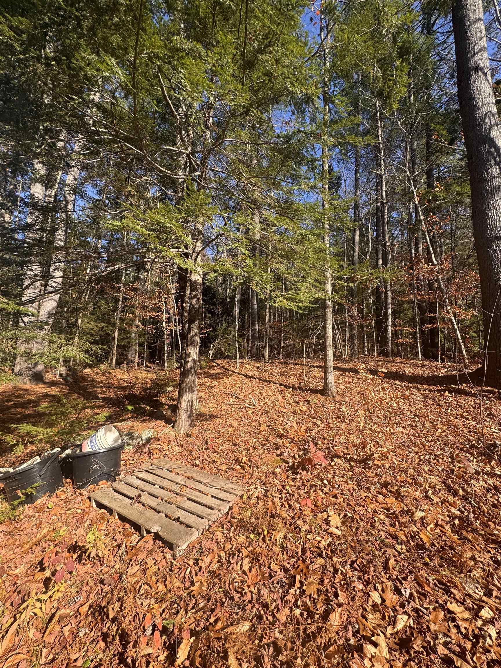 Homes for sale in Sutton, NH | 00 Newbury Rd, Sutton, NH 03260 | MLS# 5071421