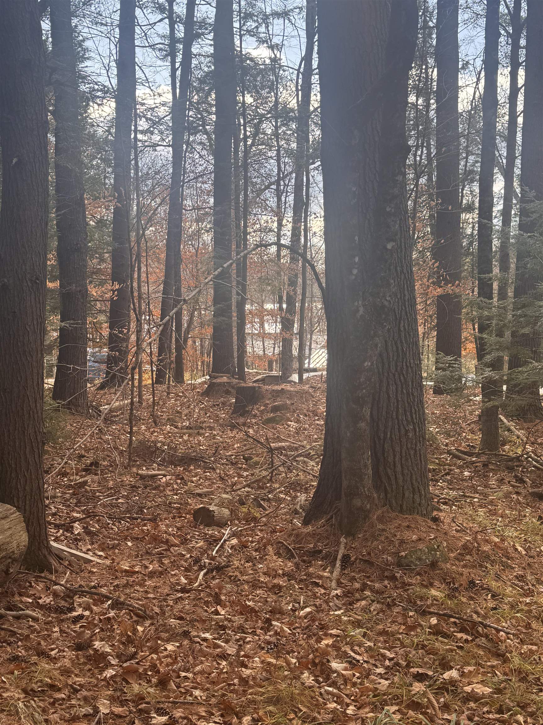 Homes for sale in Sutton, NH | 00 Newbury Rd, Sutton, NH 03260 | MLS# 5071421