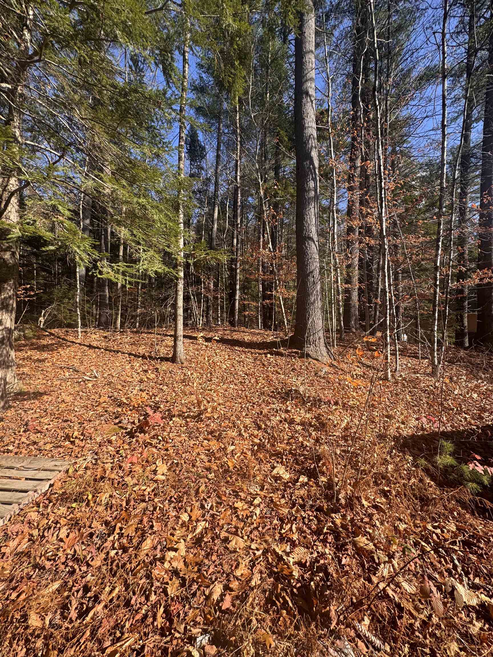 Homes for sale in Sutton, NH | 00 Newbury Rd, Sutton, NH 03260 | MLS# 5071421