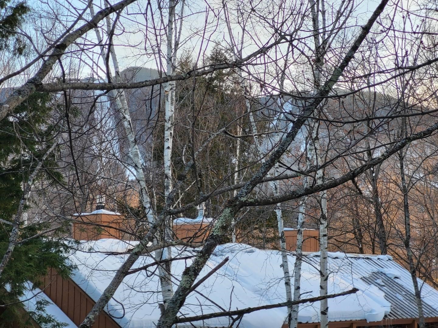 Homes for sale in Lincoln, NH | 22 Brookside Rd #3 & 4, Lincoln, NH 03251 | MLS# 5071444