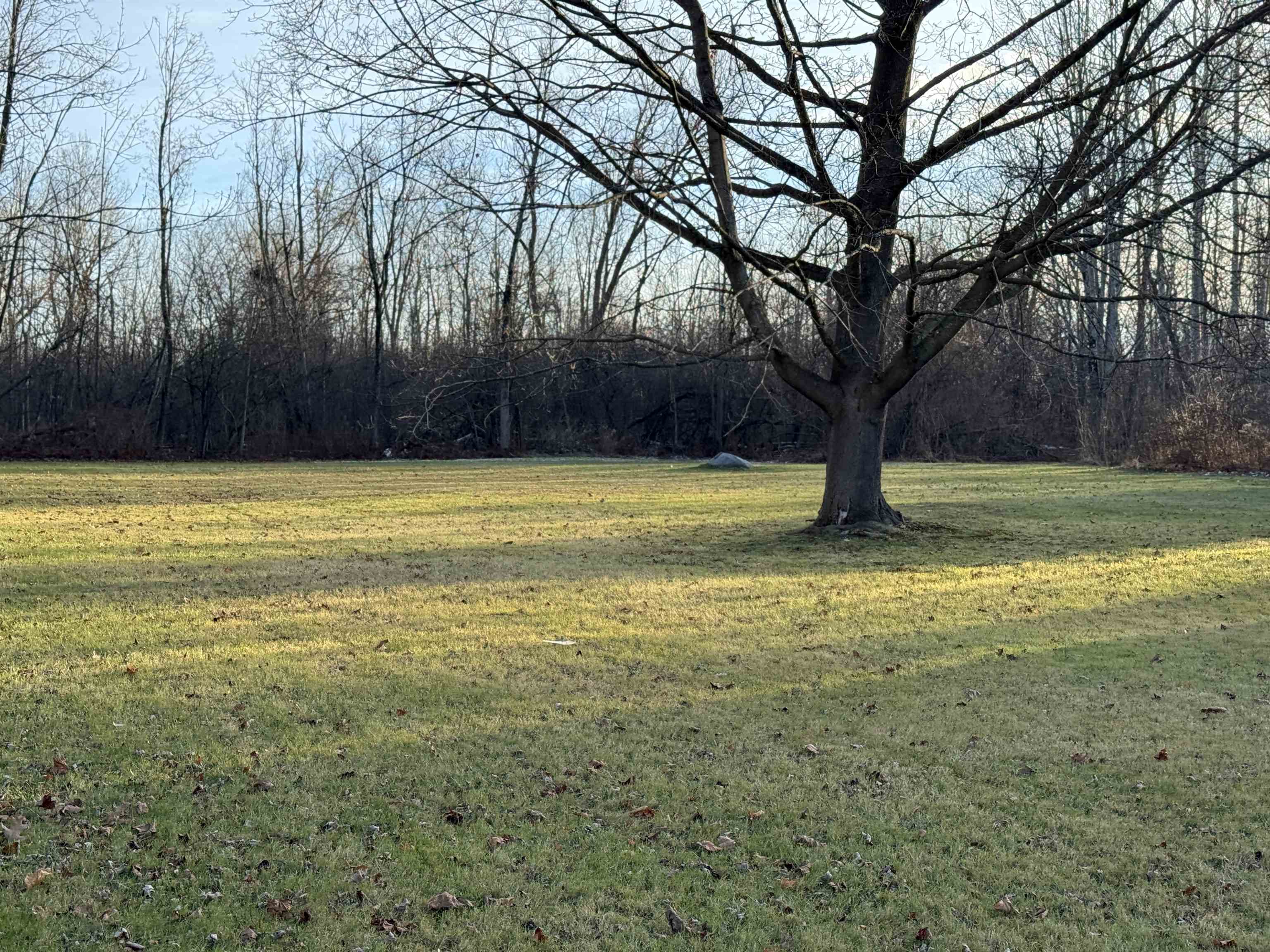 Homes for sale in Rutland City, VT | 84 Allen St, Rutland City, VT 05701 | MLS# 5071455