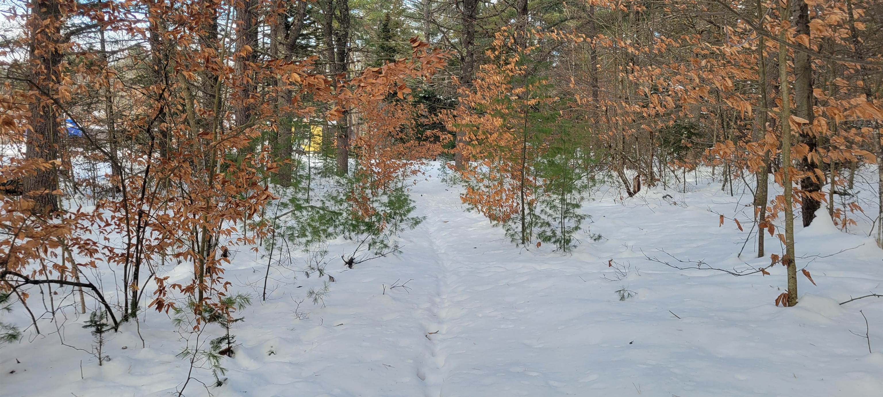 Homes for sale in Freedom, NH | 29 Milford Ave, Freedom, NH 03836 | MLS# 5071467