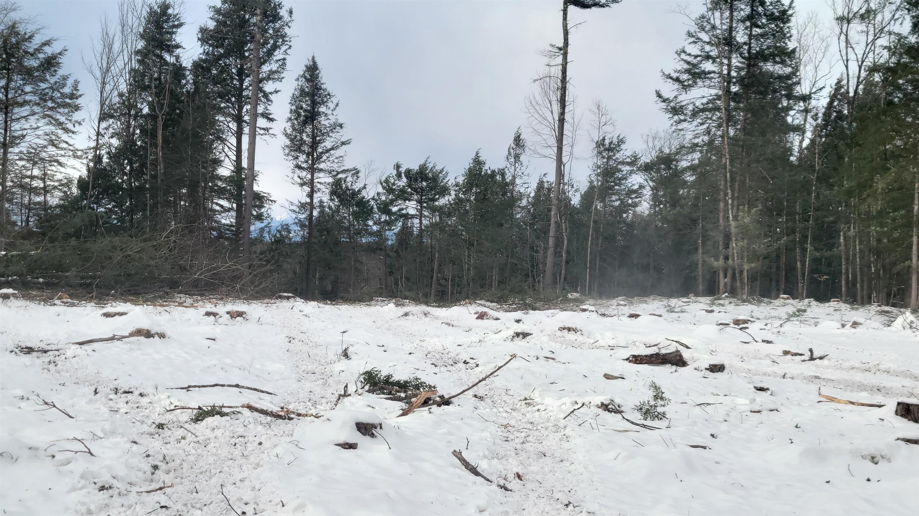 MLS #5071473 image #17